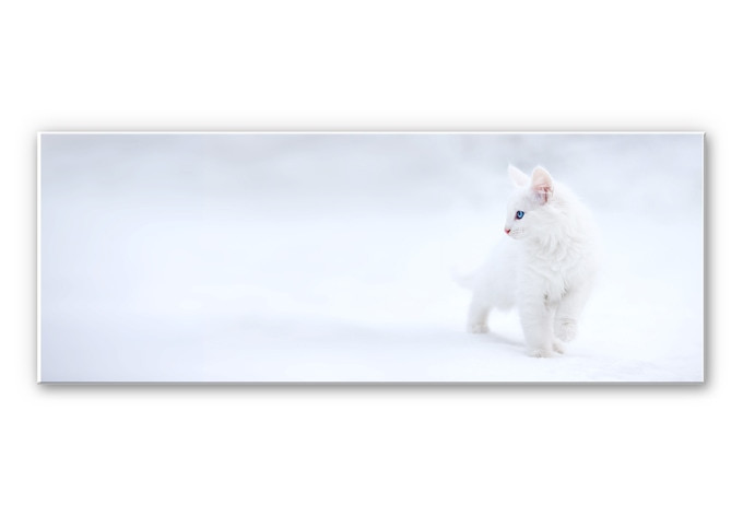 Wandbild Prexus - Weißer als Schnee