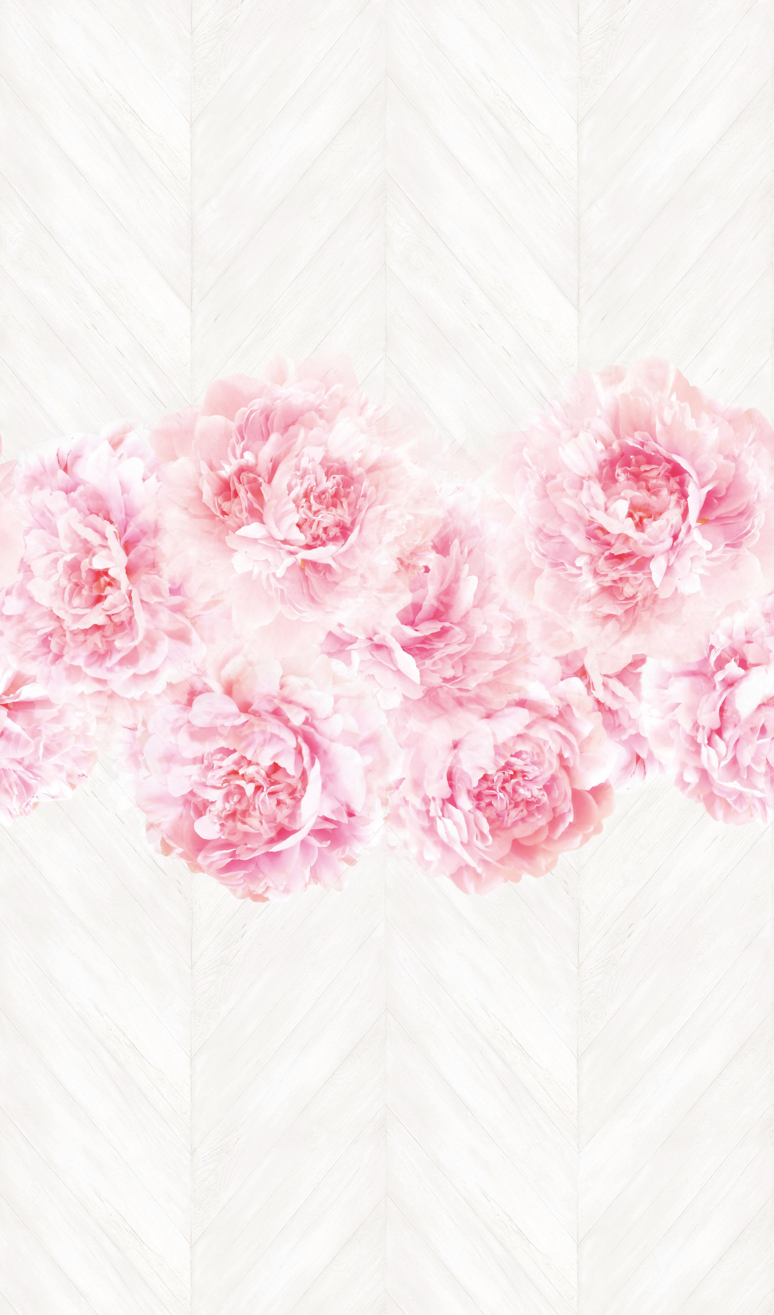 Roos behang Fotobehang op hout Roze,Bloemig 2,70 x 1,59 m