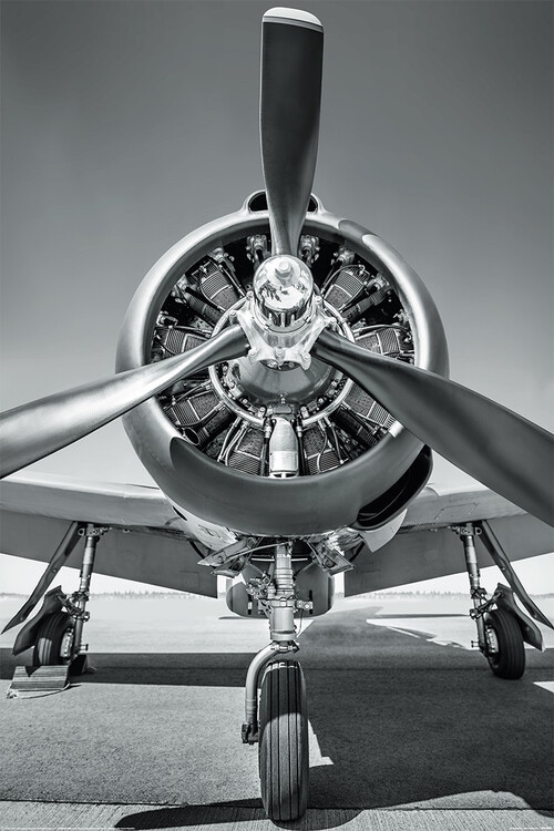 Poster The aeroplane - Propeller 61x91,5 cm
