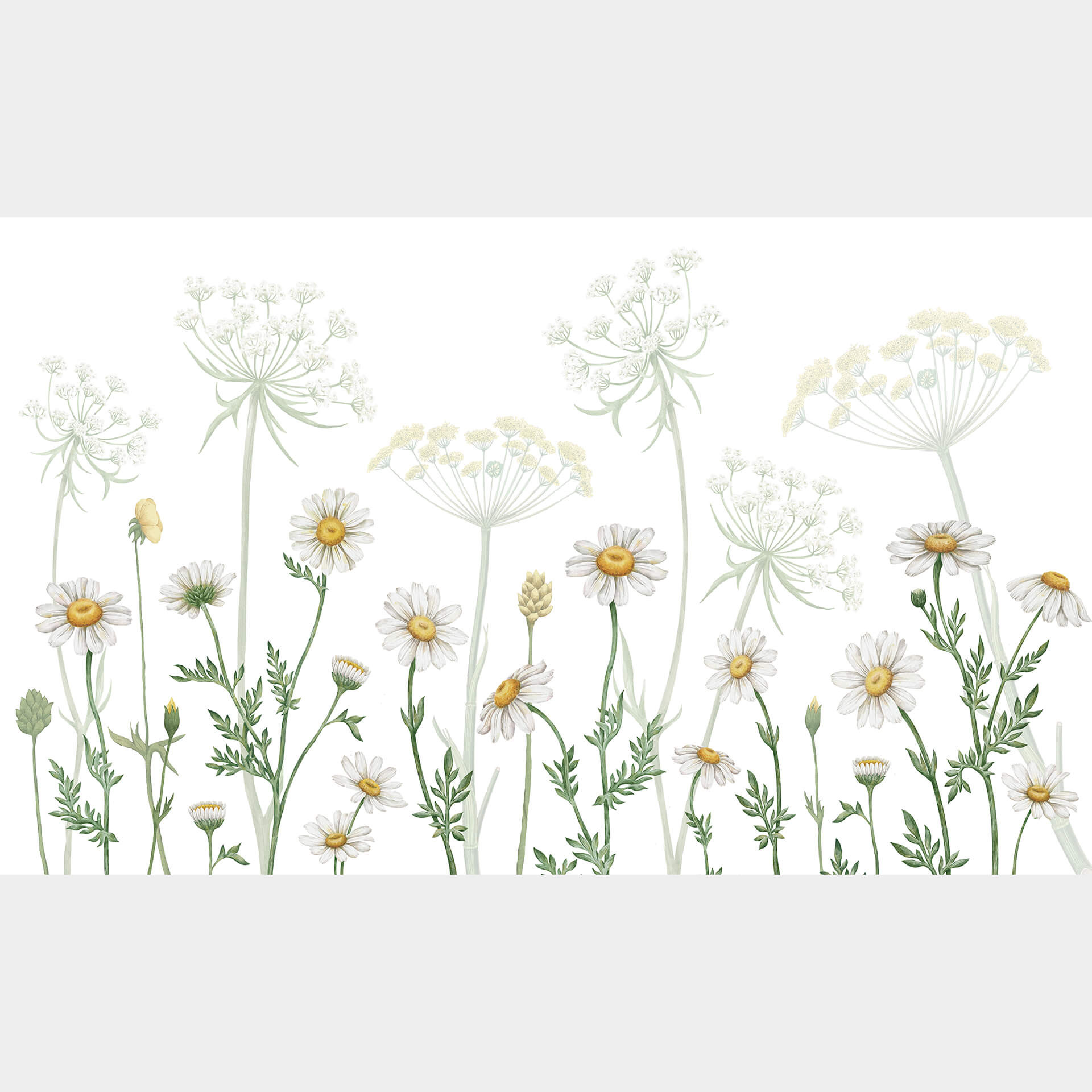 Fotobehang Sir Edward - Flowery Spring