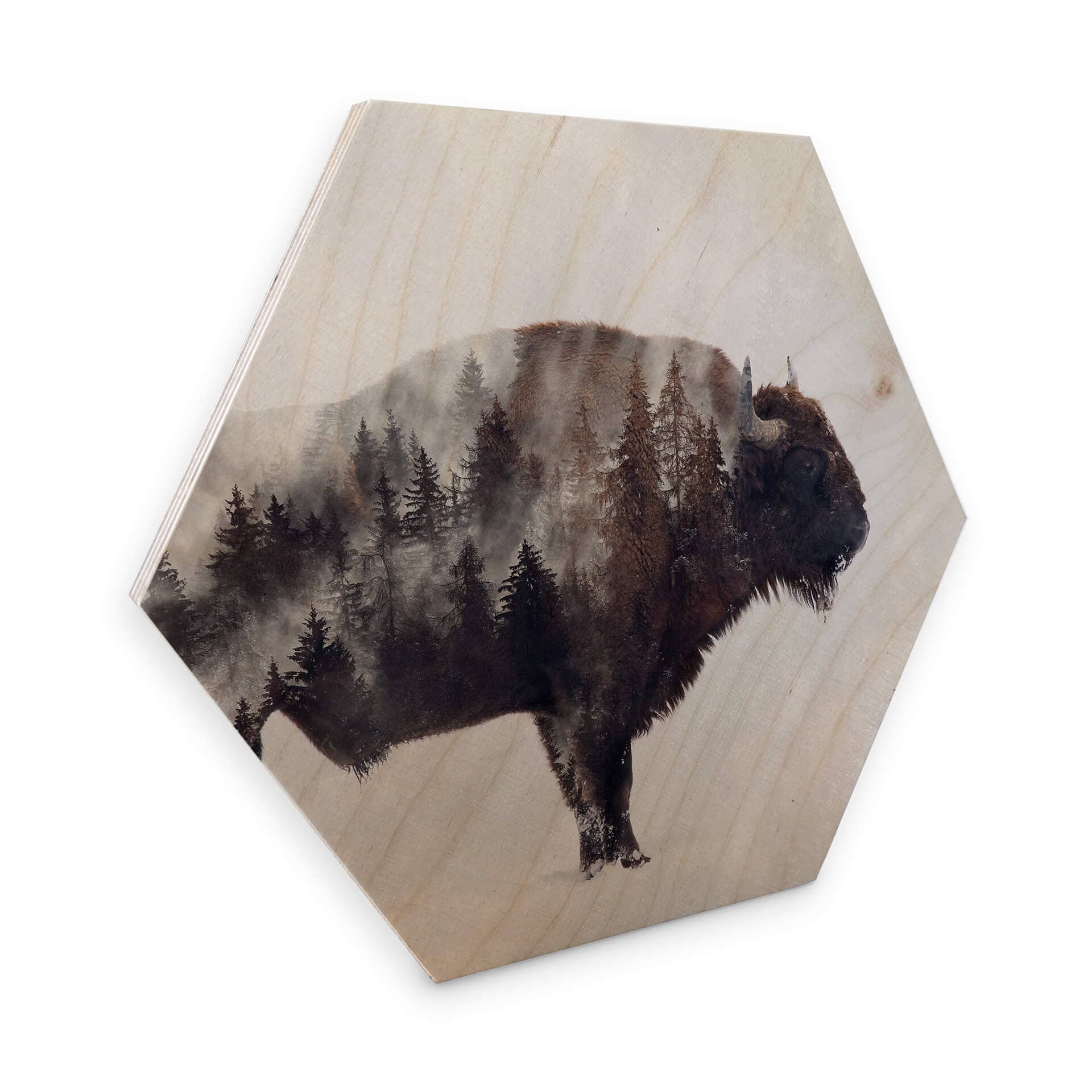 Esagoni legno Beáta - Bisonte