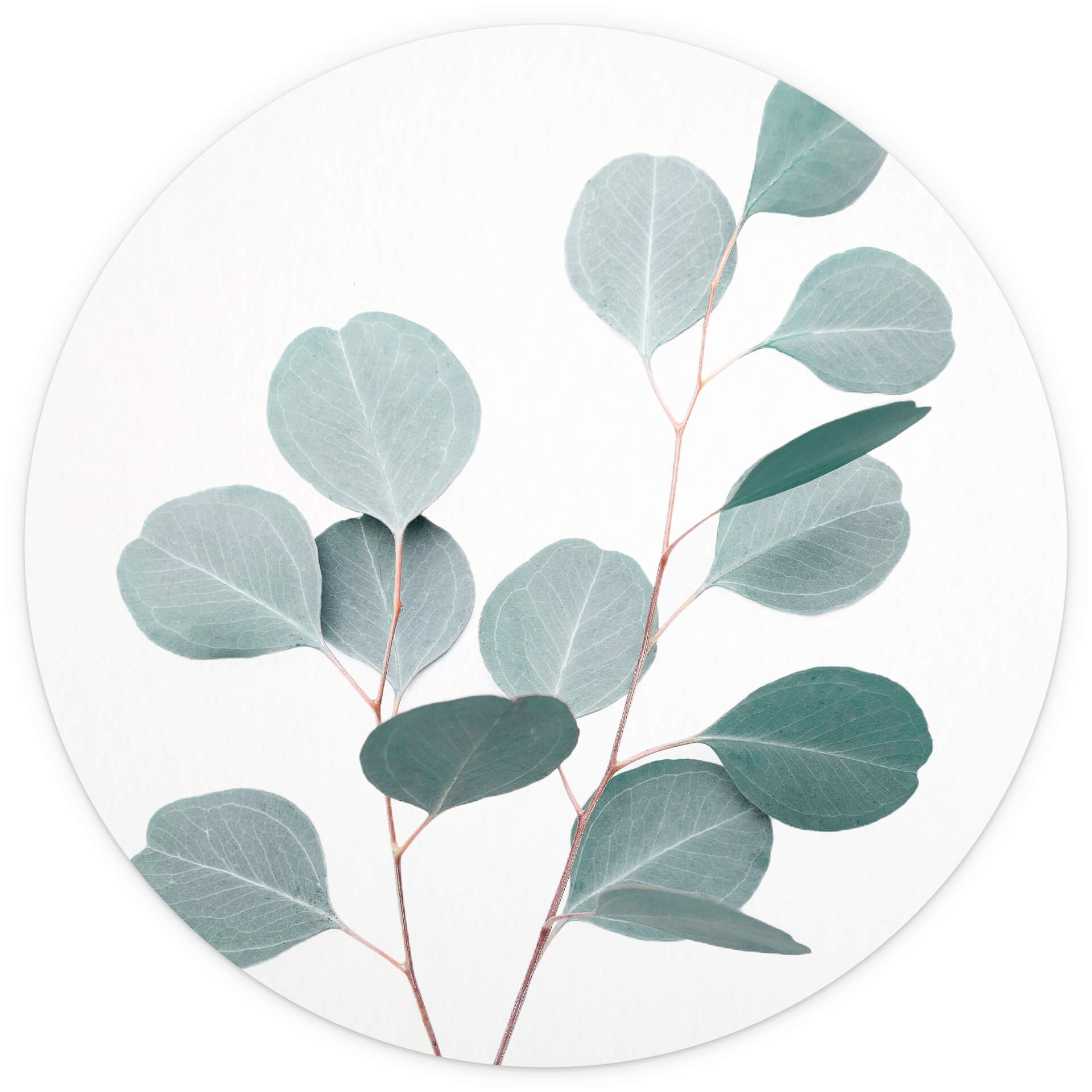 Behangcirkel Sisi & Seb - Blue Eucalyptus - vliesbehang/zelfklevend vliesbehang