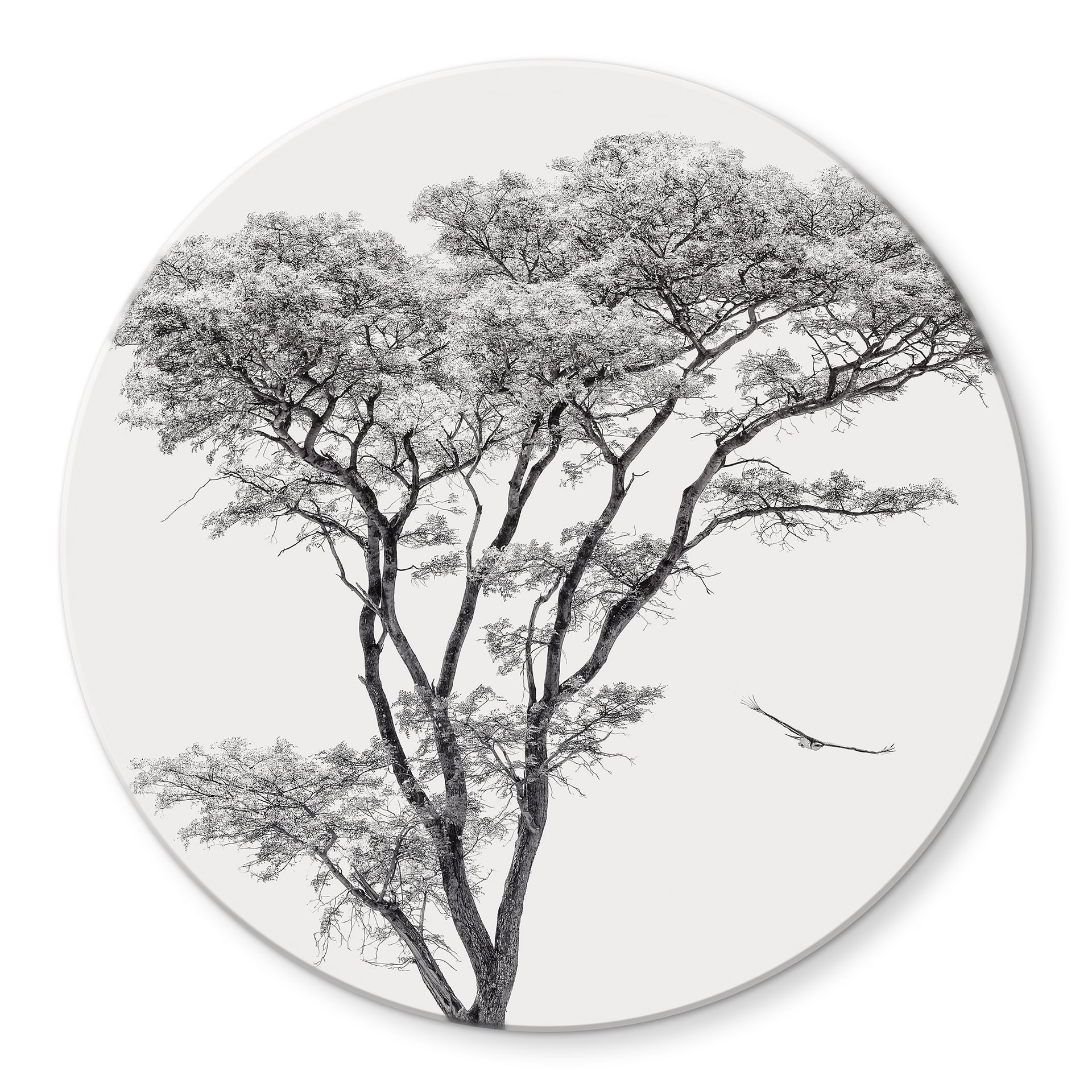 Glasbild Minimalistischer Baum in ruhiger Landschaft - Flour - Rund