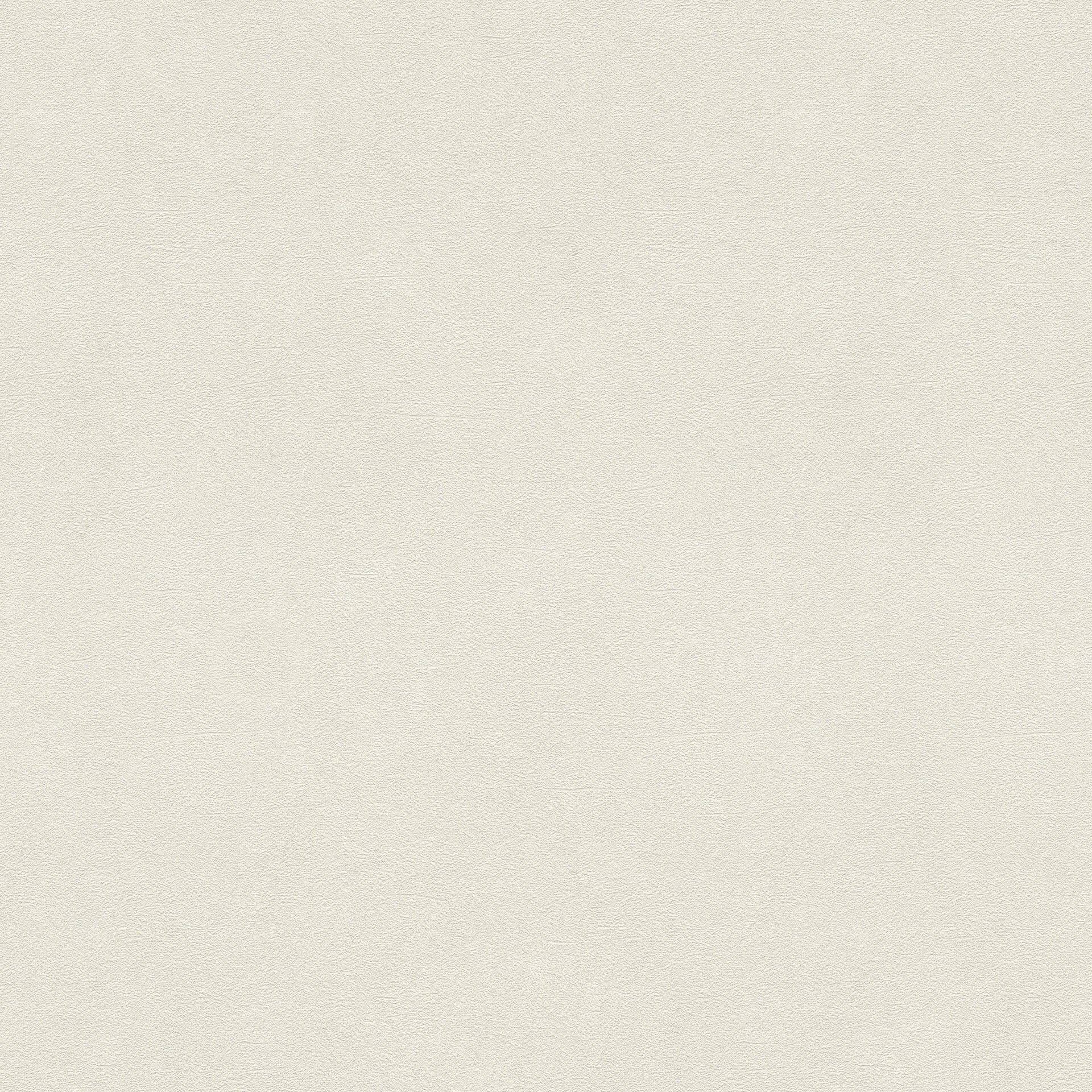 Rasch Vliestapete Vincenza Beige, Creme