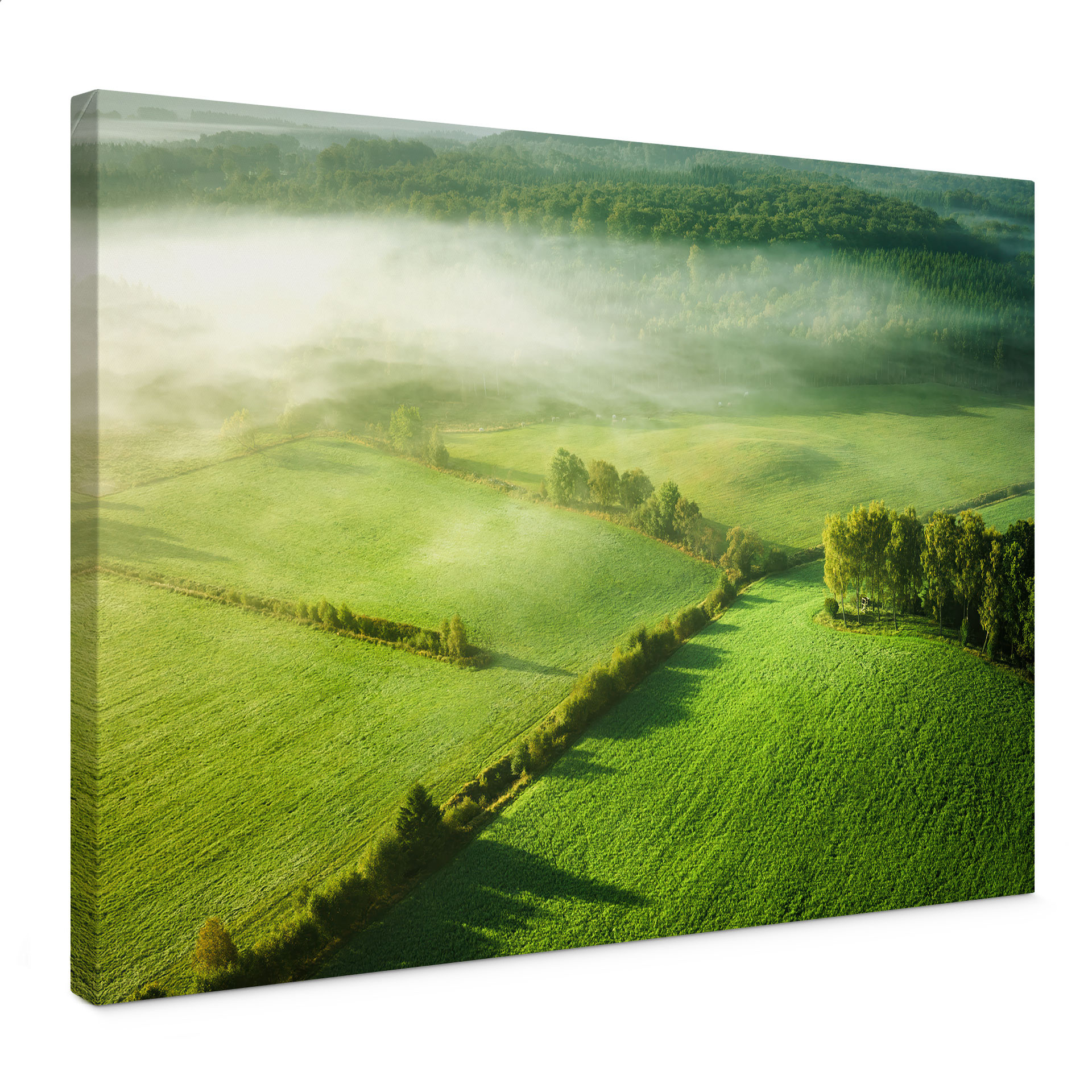 Leinwandbild Idyllische Felder im Nebel | Natur | Wohnzimmer - Keller