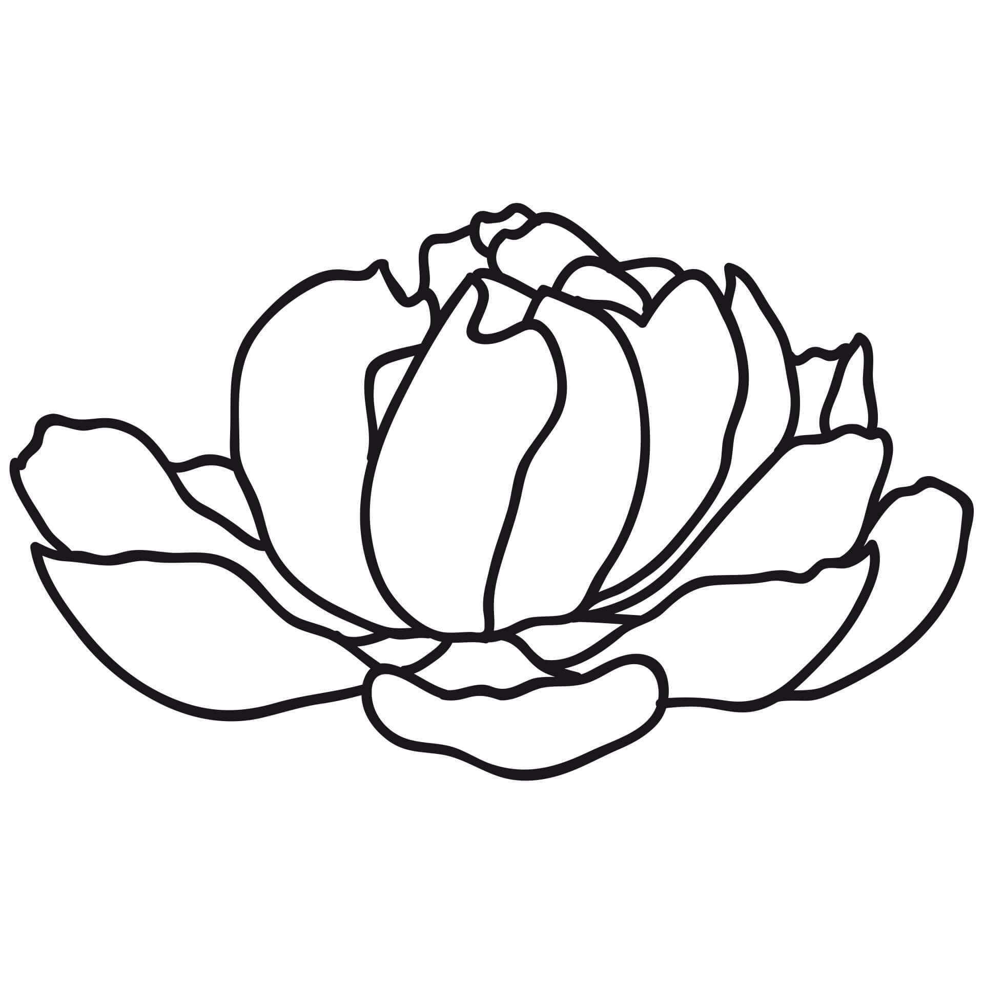 Muursticker Peony Blossom 01
