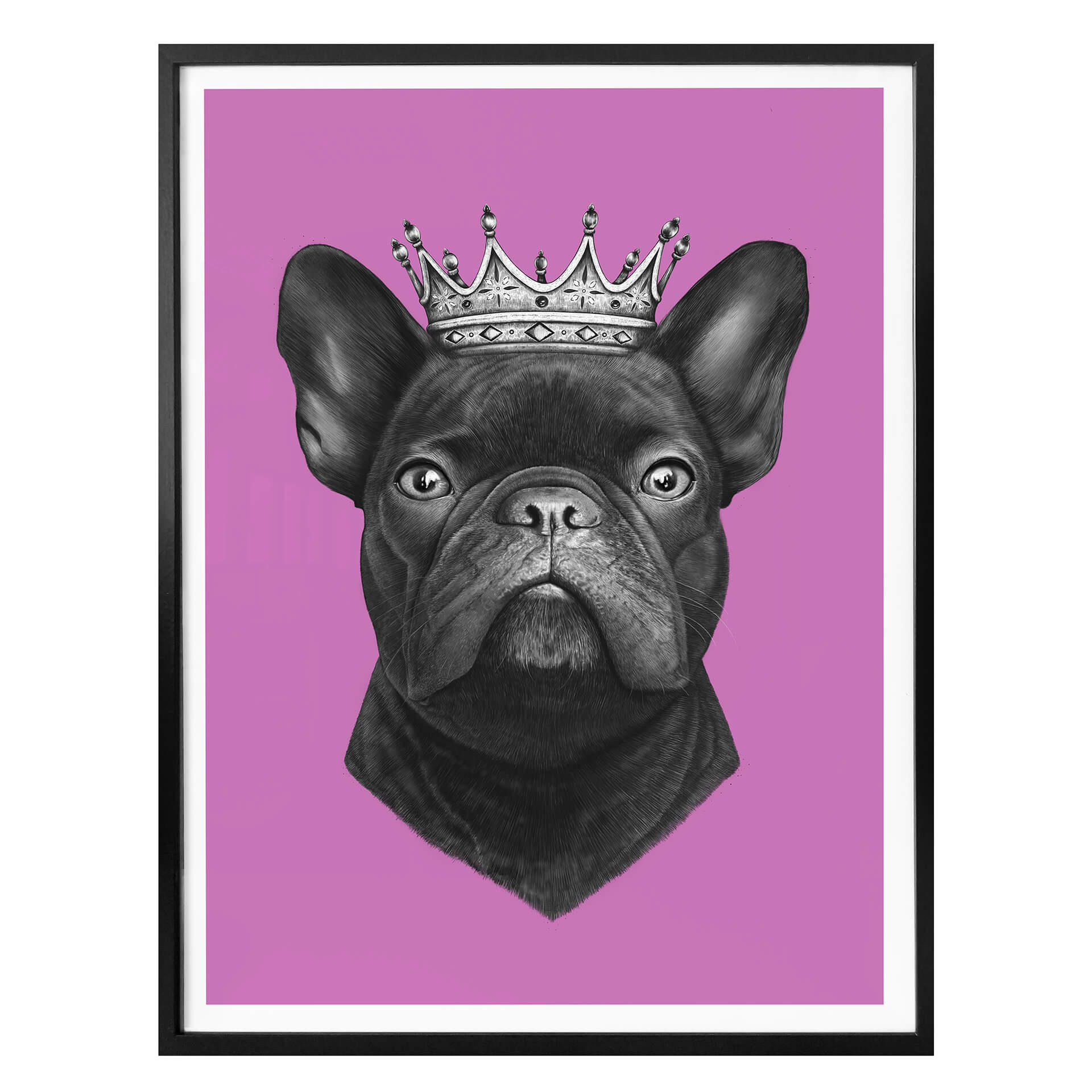 Plakat Korenkova - Król buldog francuski różowy