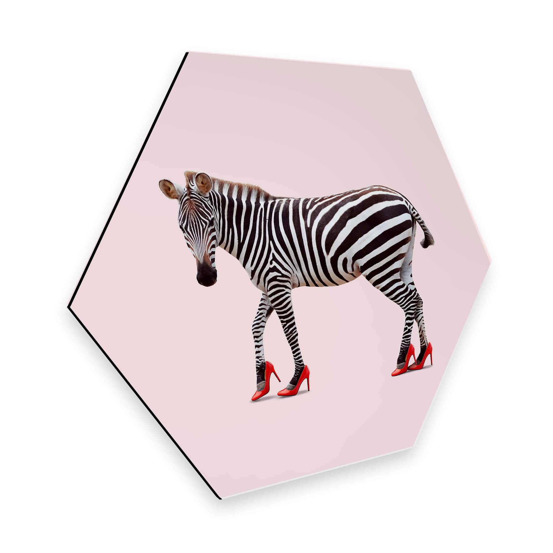 Hexagon Dibond Loose - Zebra Heels