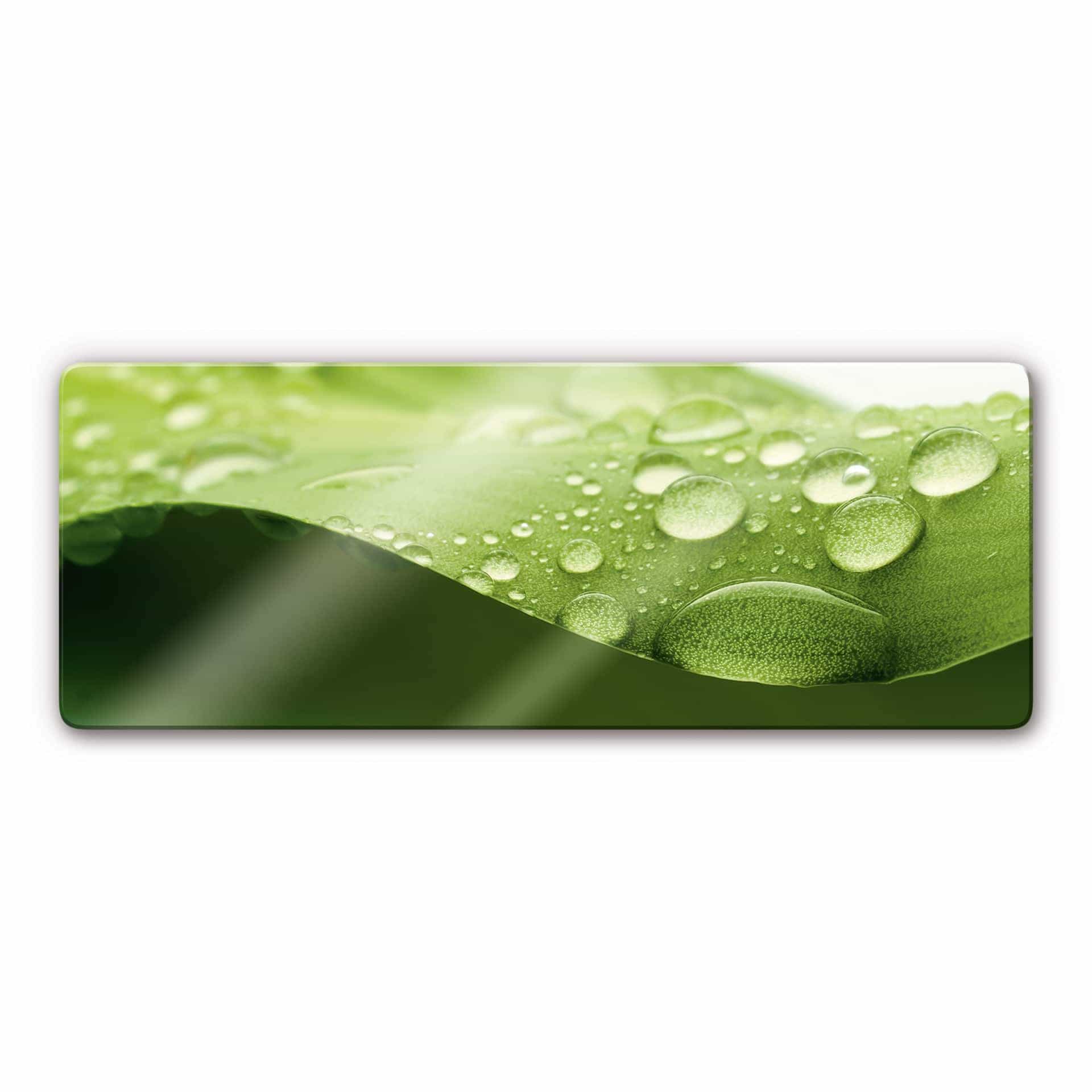 Glasbild Natur 3 - Panorama