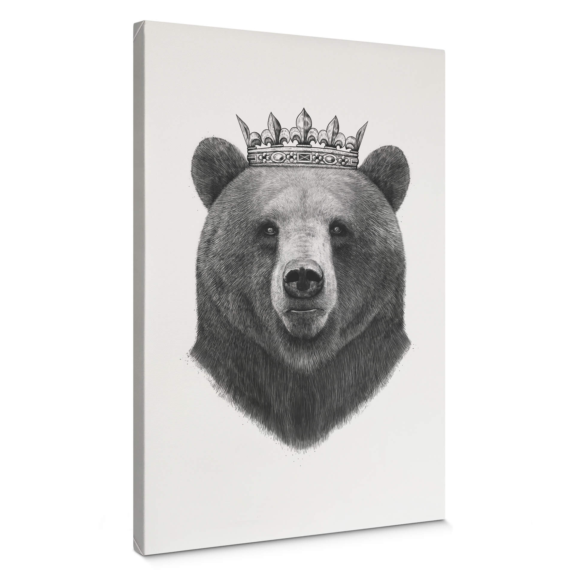 Obraz na płótnie Korenkova - King Bear