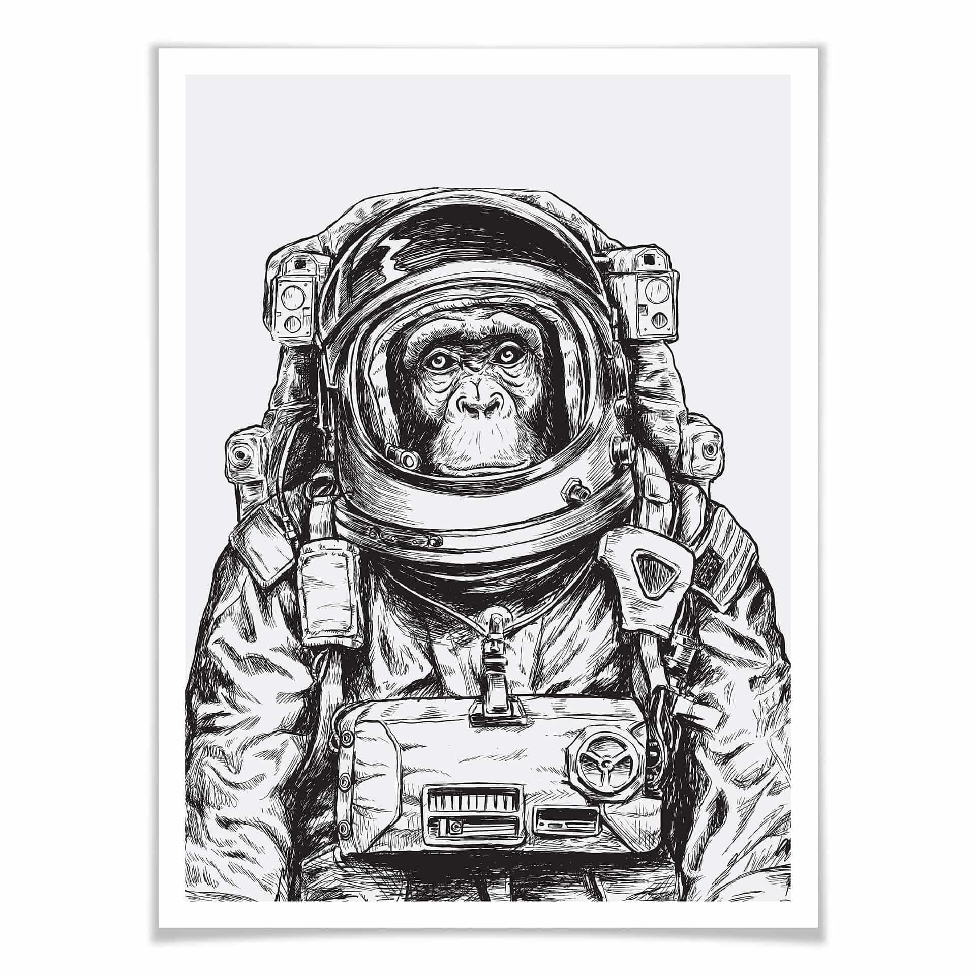 Poster Space Monkey
