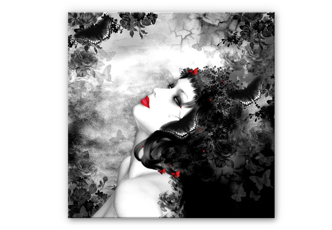 Tableau Forex - Image de papillon noir