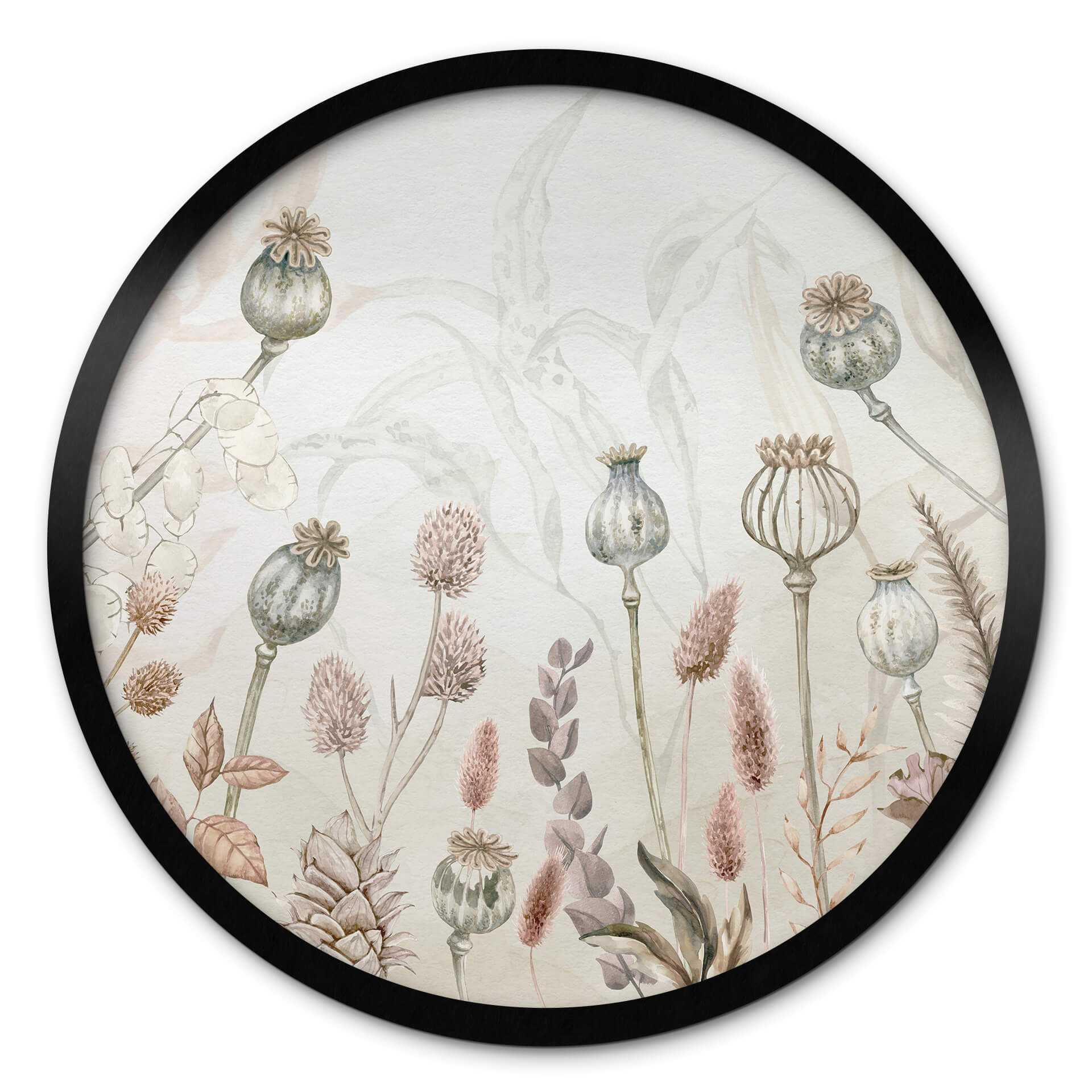 Poster rond Sir Edward - Fleurs séchées blanches