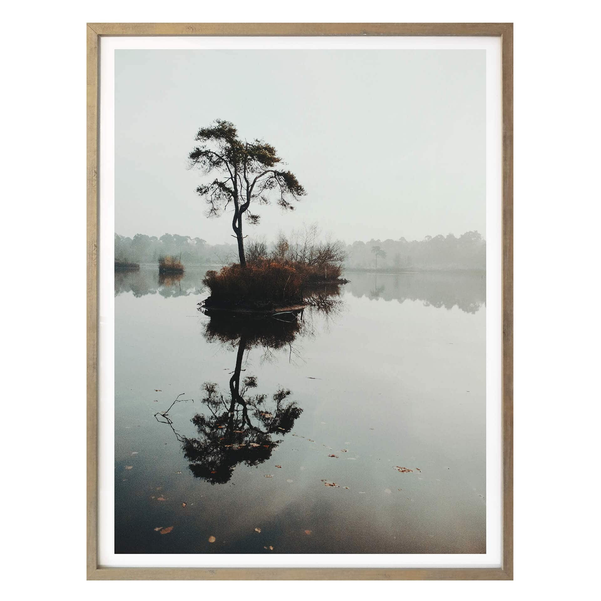 Affiche L'arbre solitaire 02