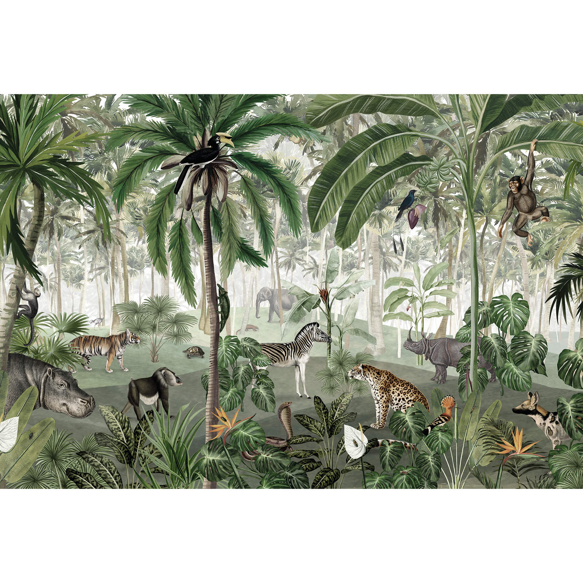Fotobehang Kikki Belle - Look into the Jungle