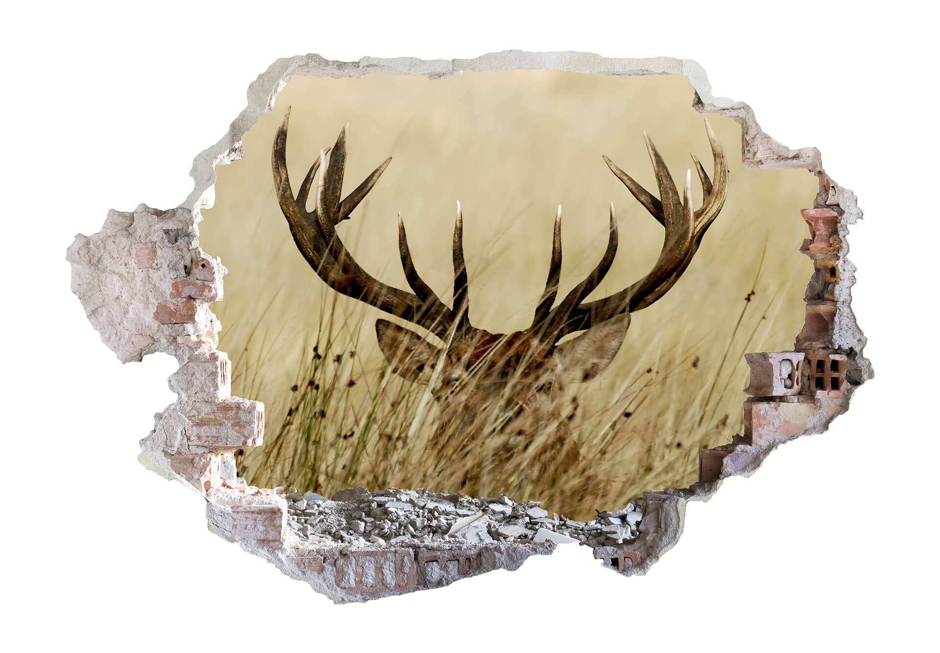 3D Wallsticker hjort i voks