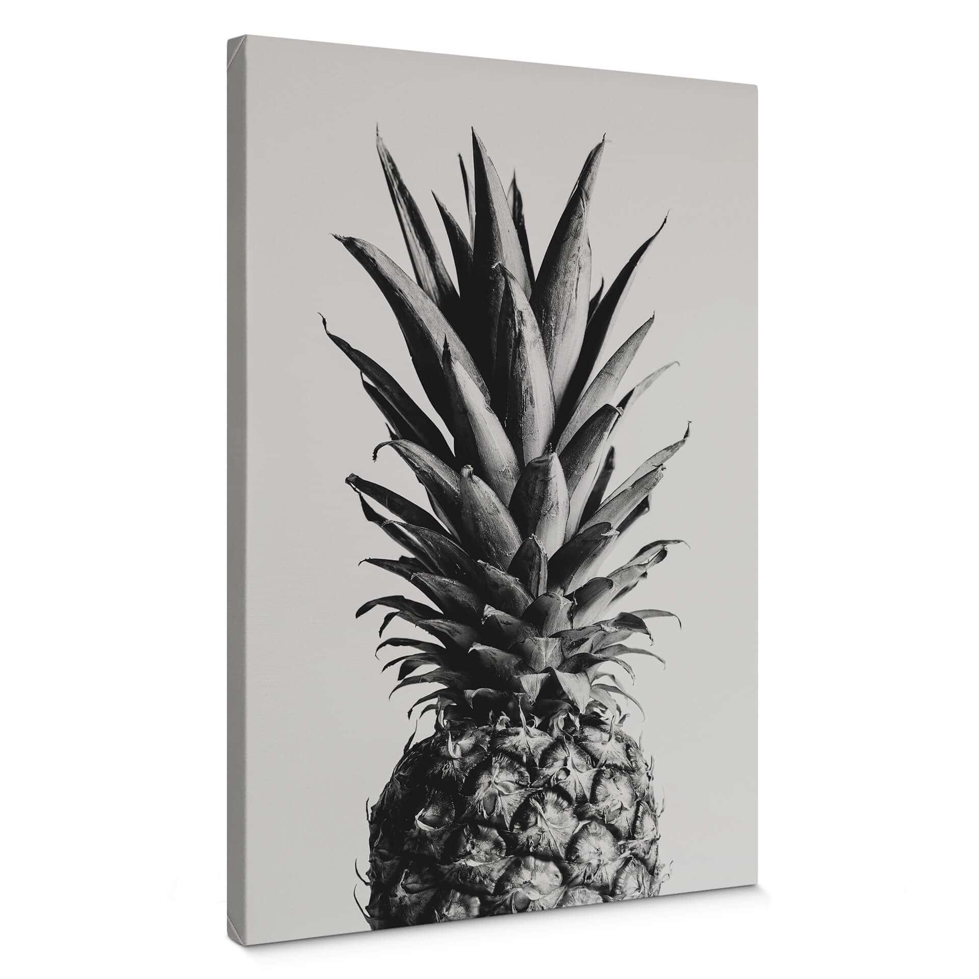 Obraz na płótnie 1X Studio - Ananas