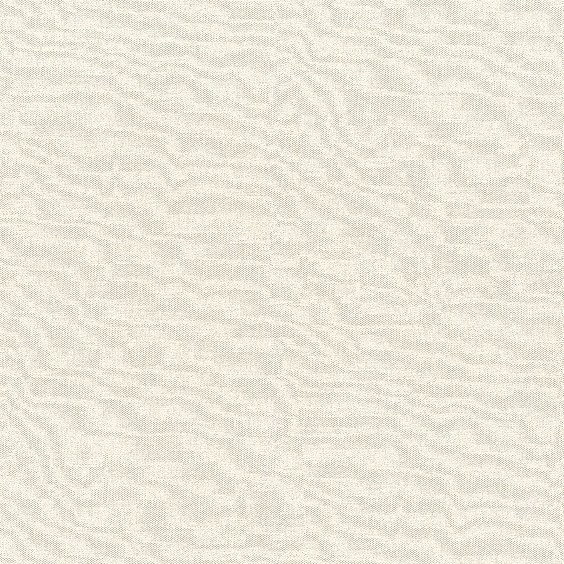 Rasch Vliesbehang Wallpaper