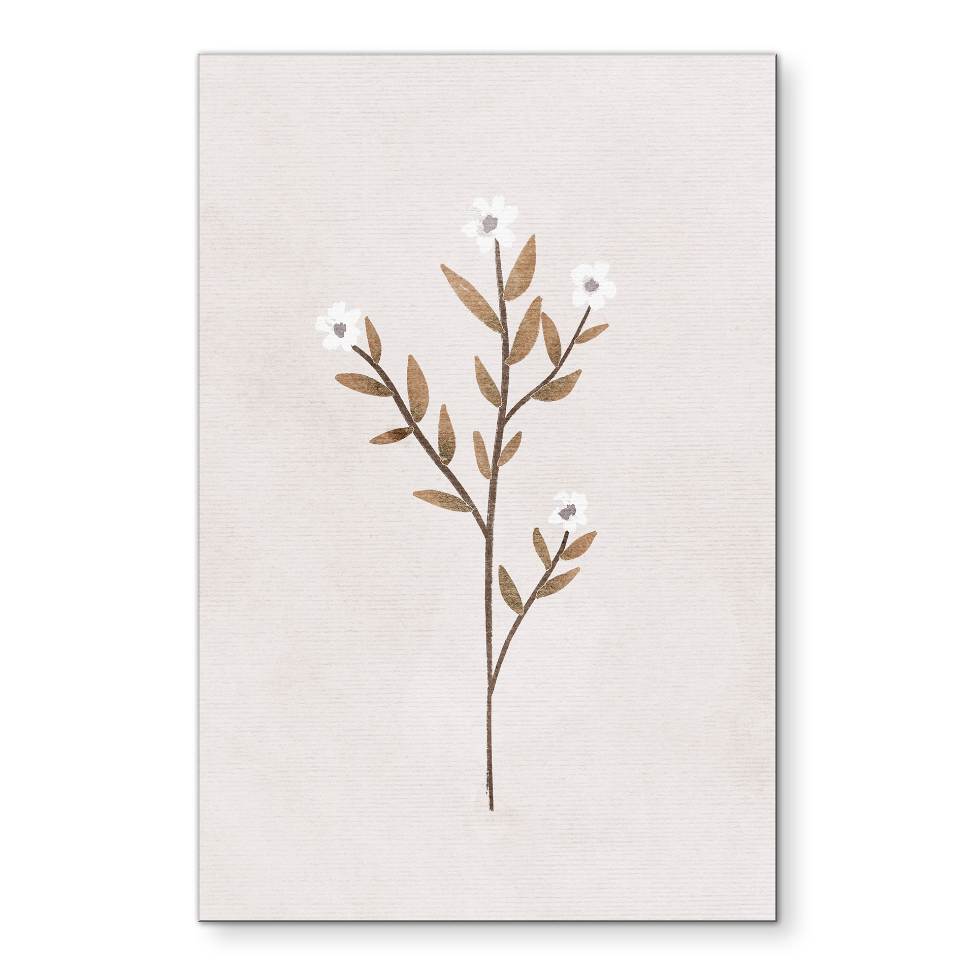 Billede Blomster illustration - Forget-me-not - Goed Blauw – print på aluminium (Alu-Dibond)