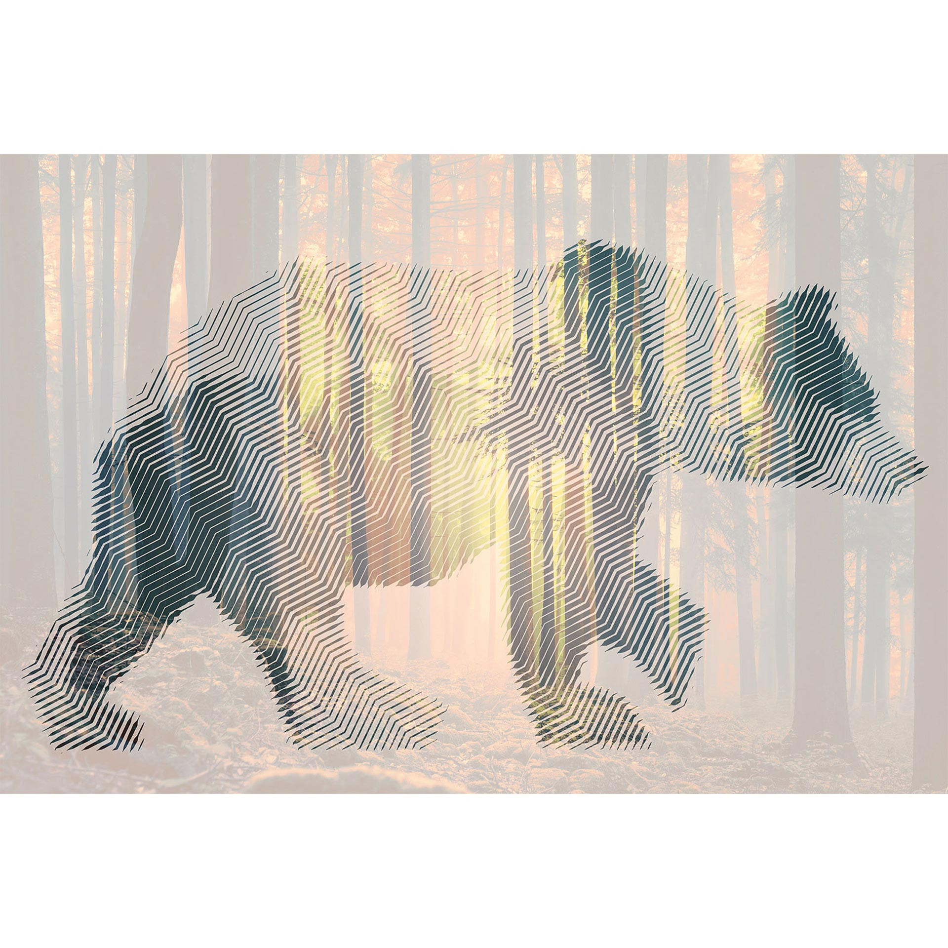 Architects Paper Papier peint photo Atelier 47 Bear Forest animal