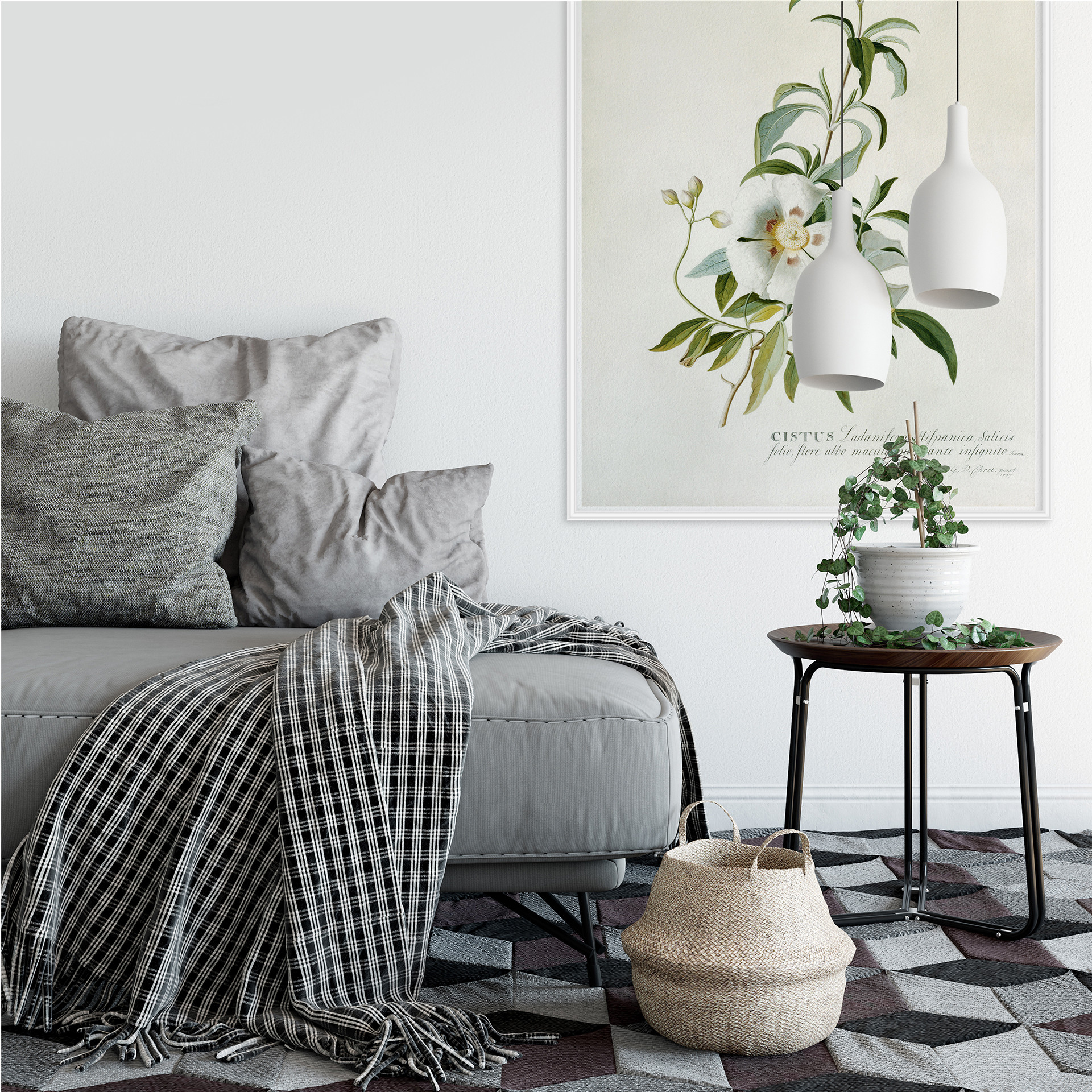 Wallprint W - Ehret - Zistrose