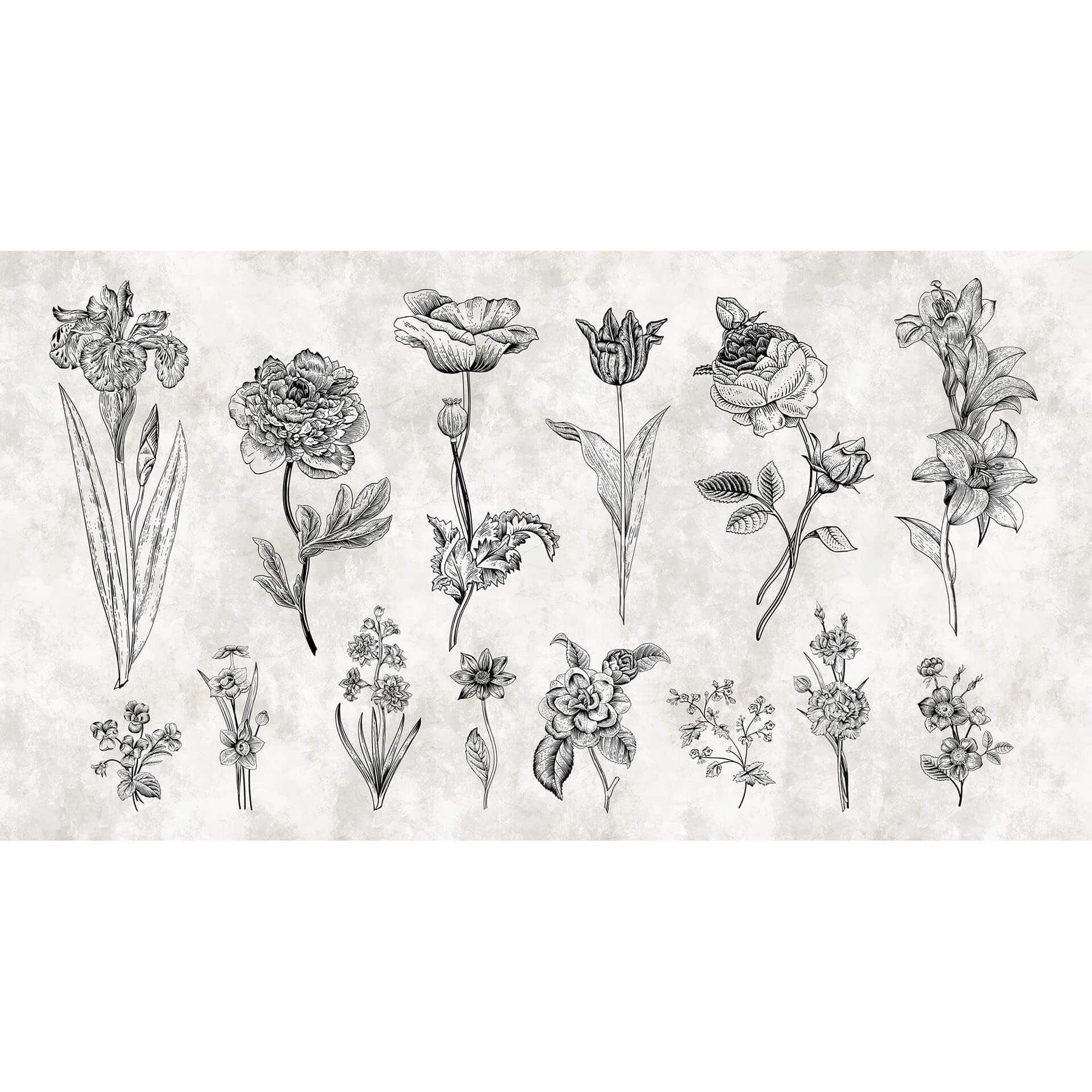 Livingwalls Fotomurale Walls by Patel sketchpad 2