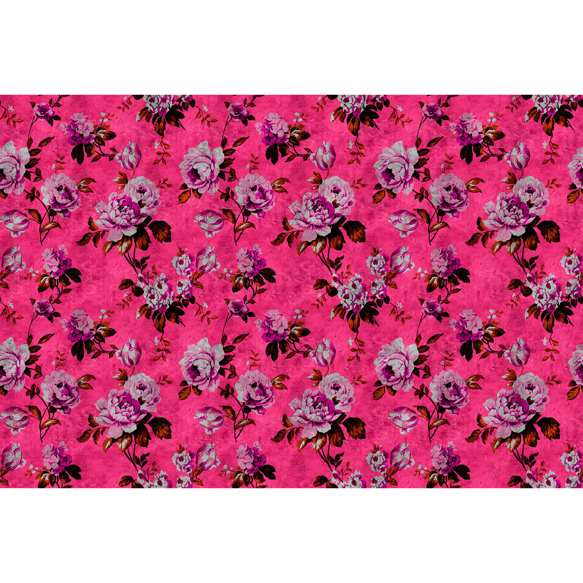 Livingwalls Fotobehang Walls by Patel 2 wild roses 3