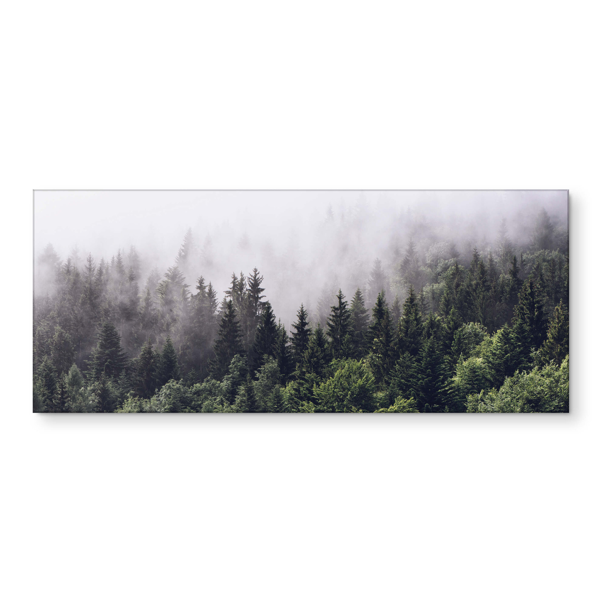 Küchenrückwand Nebliger Wald