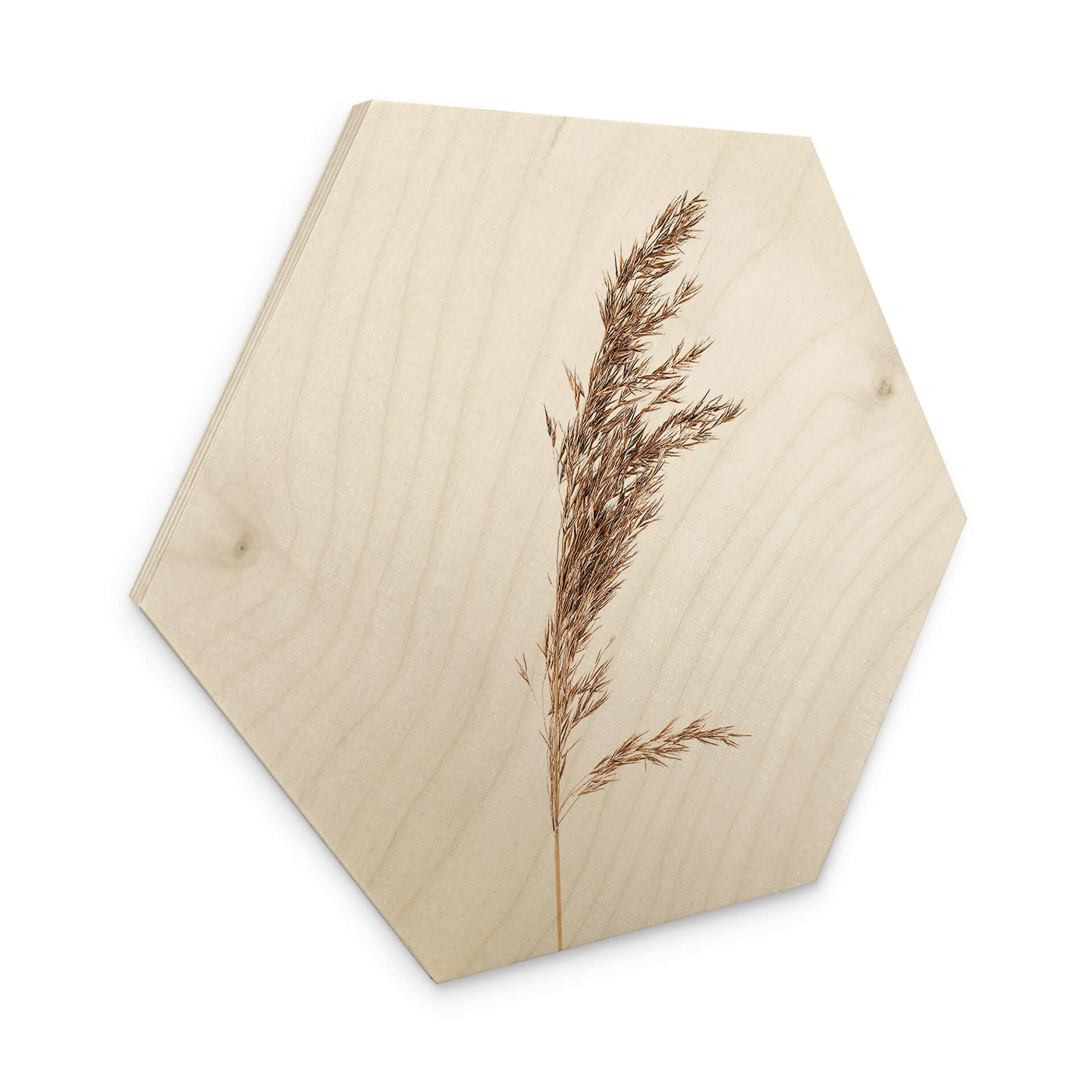 Esagono in legno Erba ornamentale No. 3