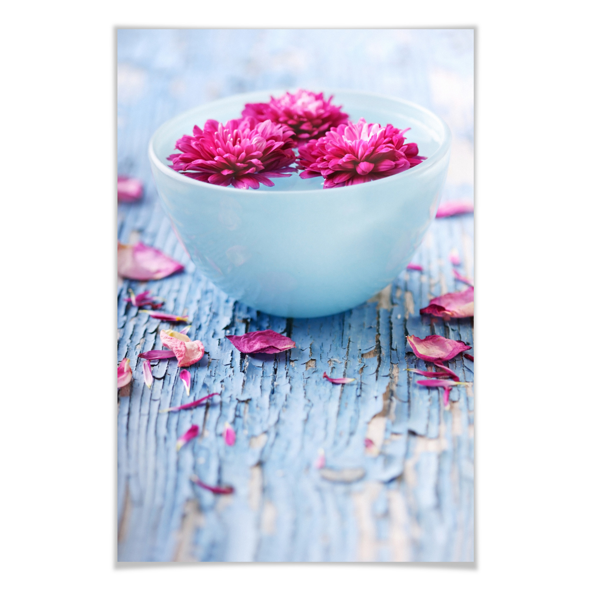 Poster Wellness Ambiente
