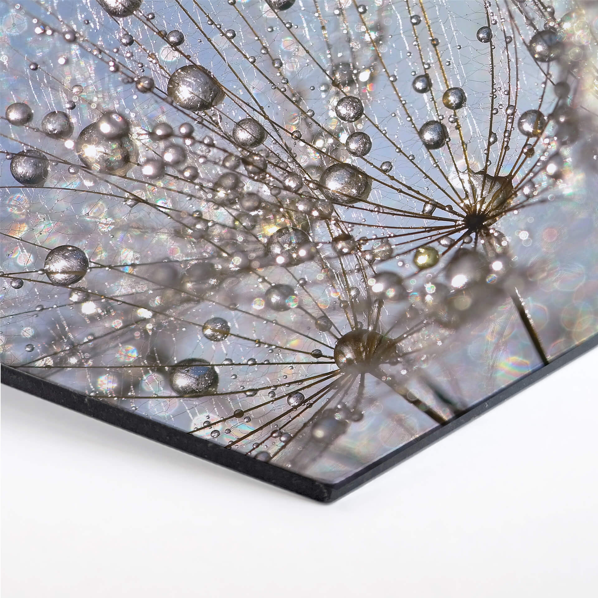 Hexagon - Alu-Dibond Delgado - Waterdrop Dandelion