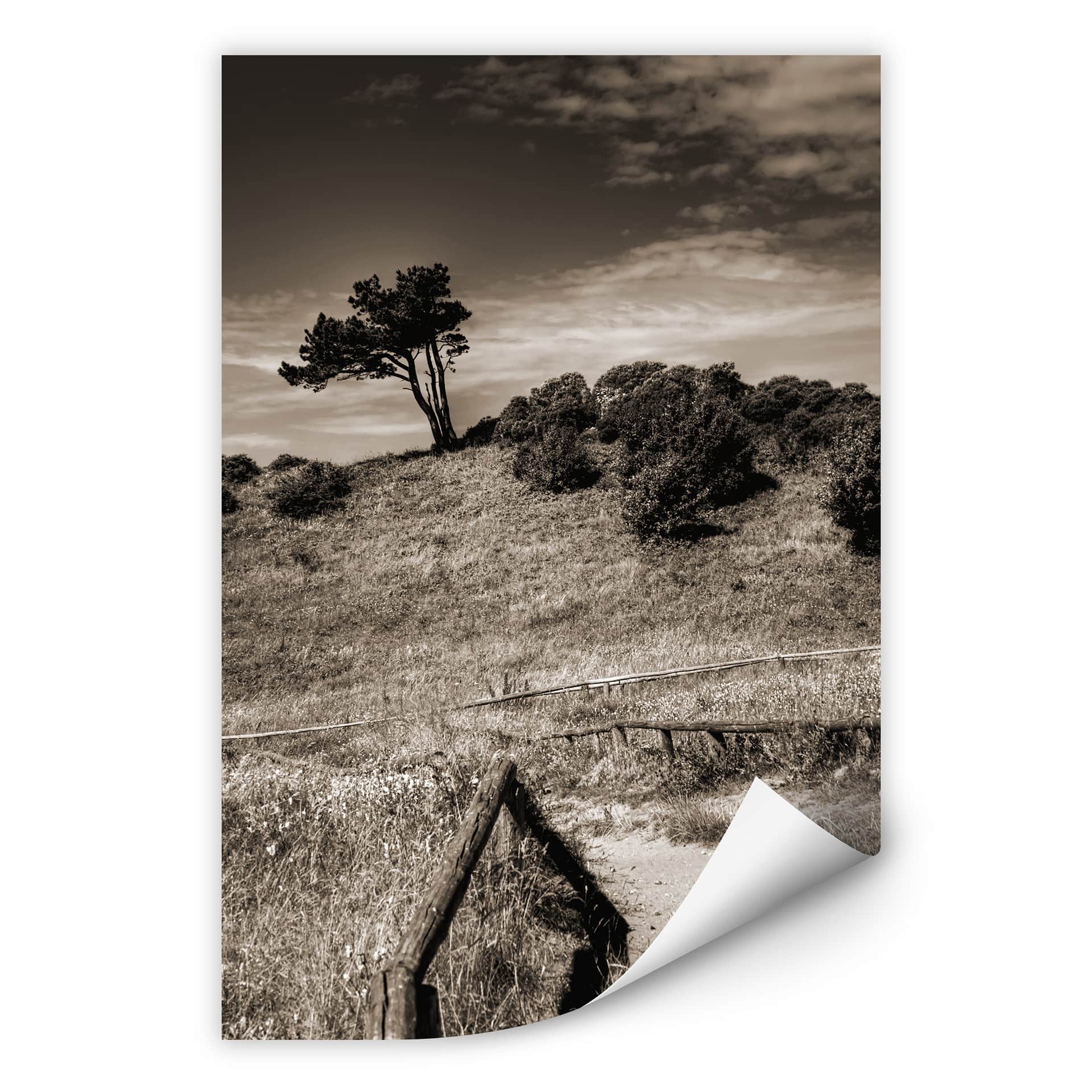 Wallprint W - Landschaft auf Hiddensee