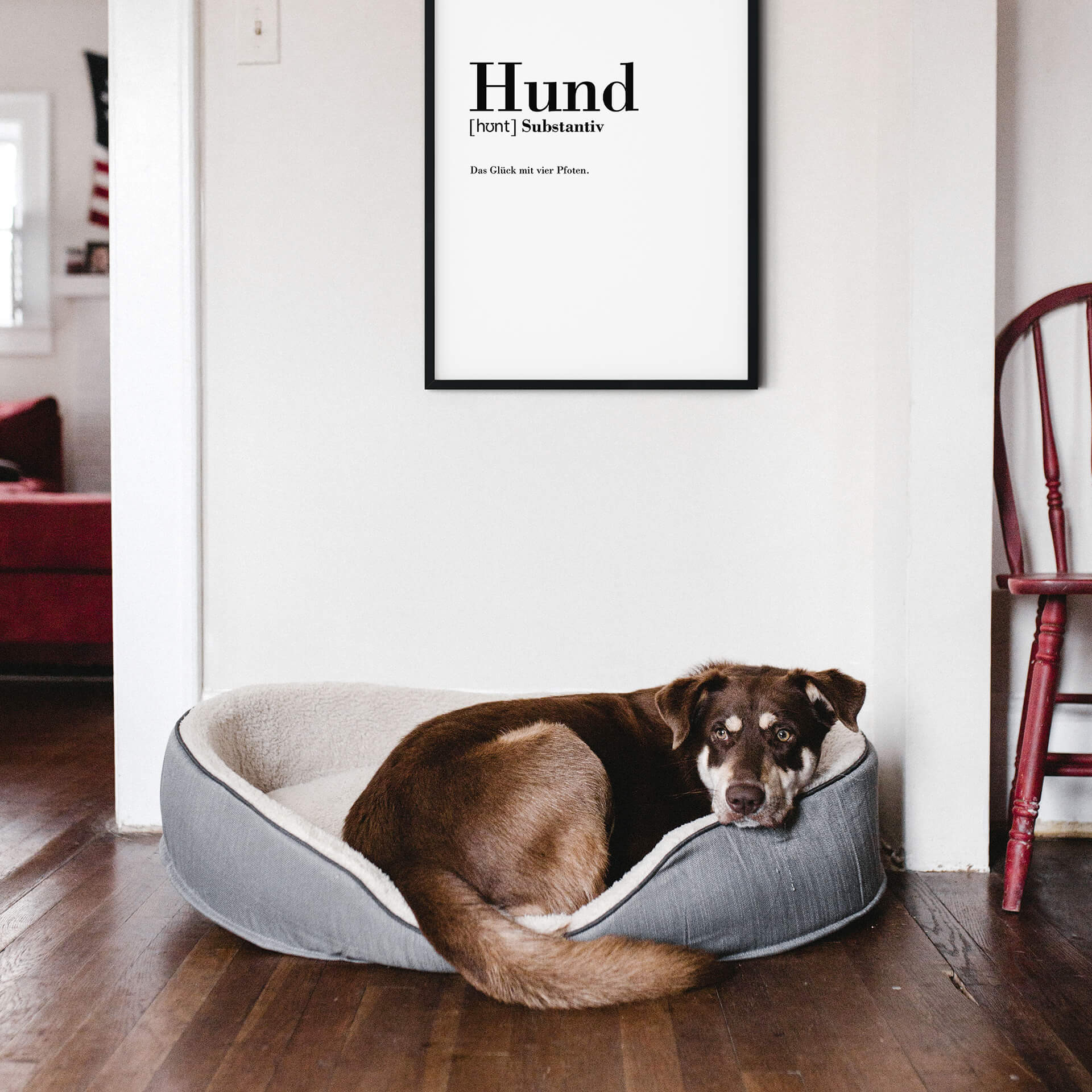 Poster Grammatik - Hund