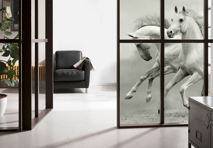 Raamfolie Paarden