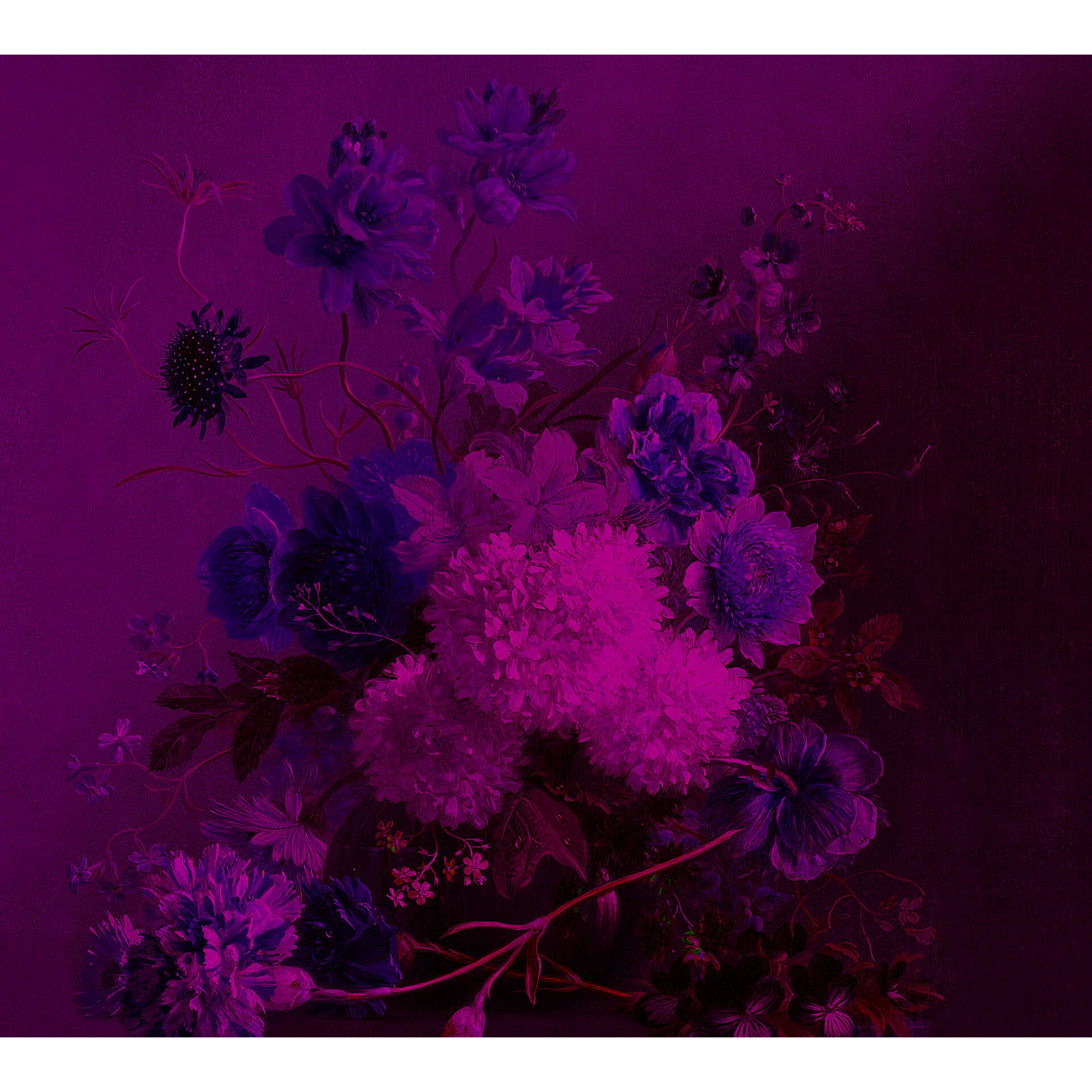 Livingwalls Fotobehang Walls by Patel bouquet vibrant 3