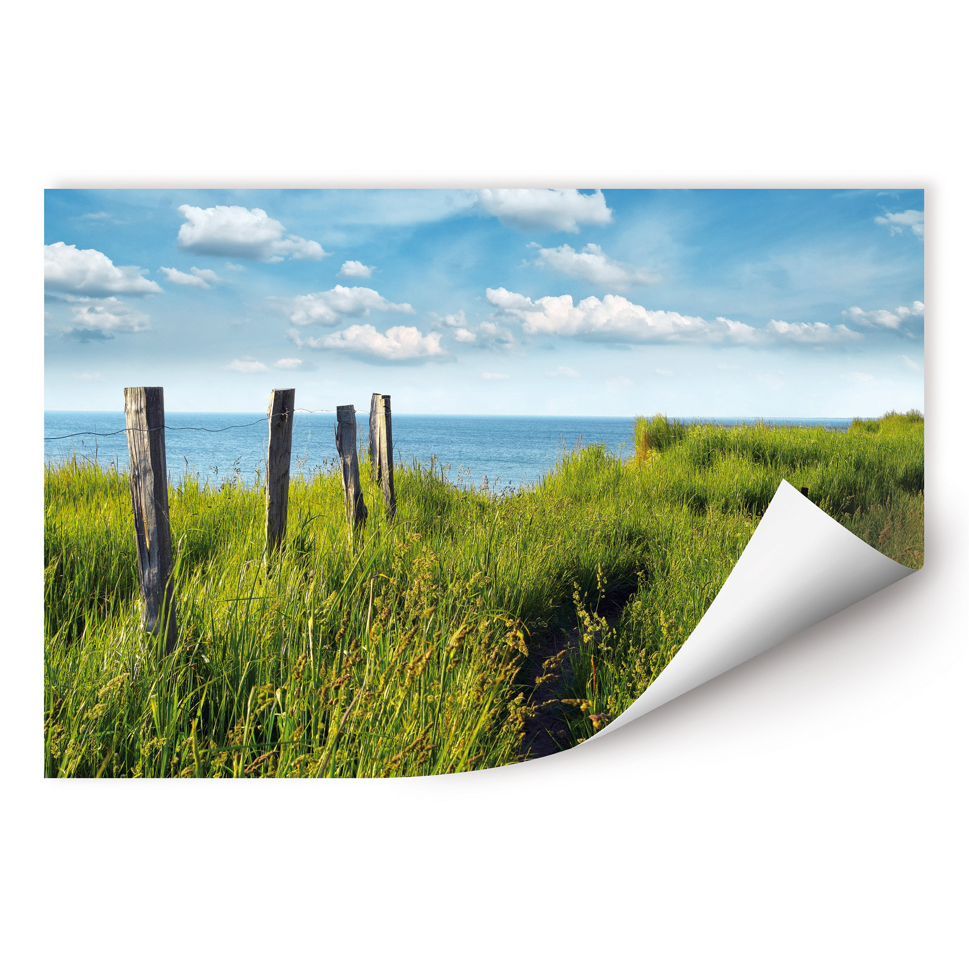 Wallprint W - Weg zum Meer