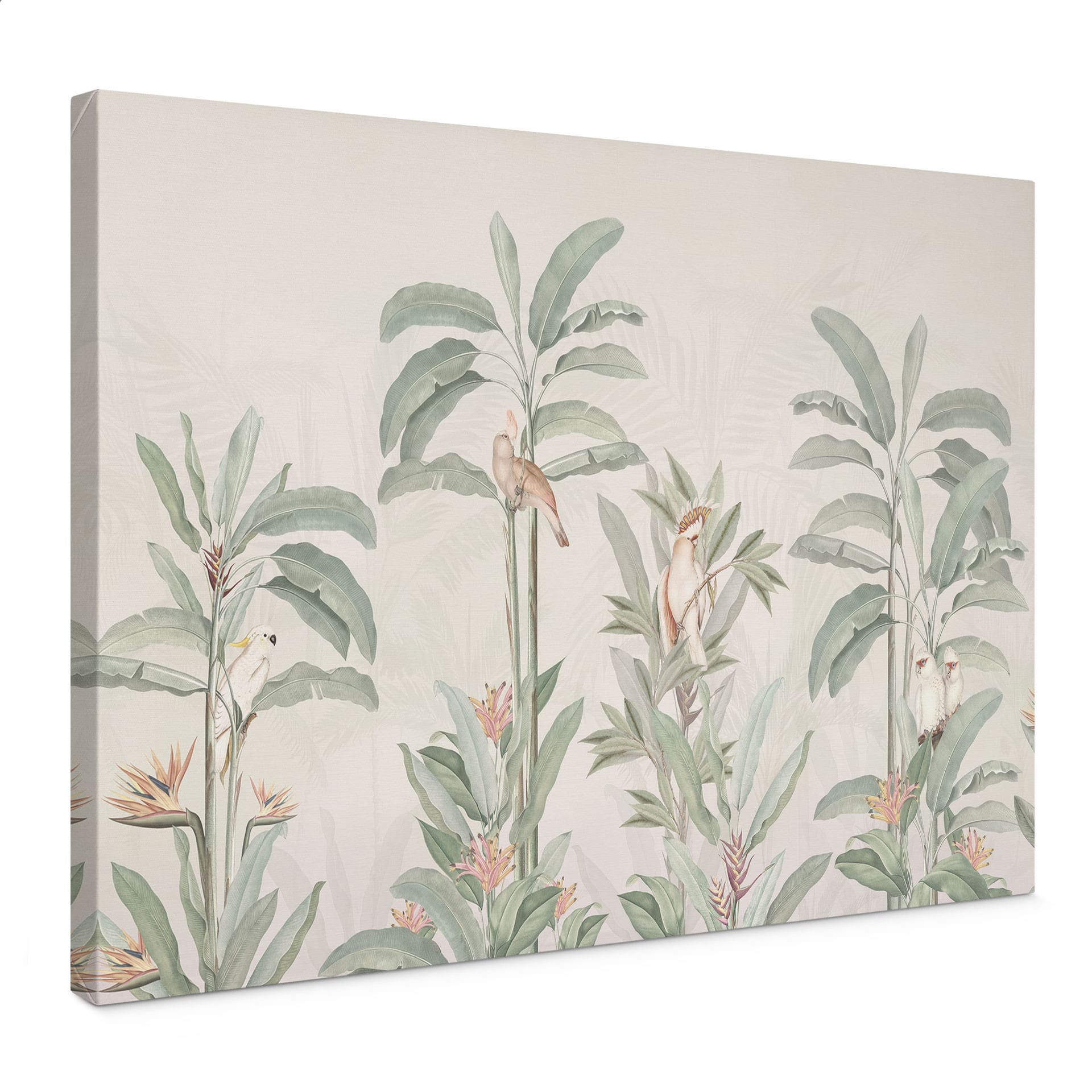 Obraz na płótnie Las tropikalny z kakadu - Bloomery Decor