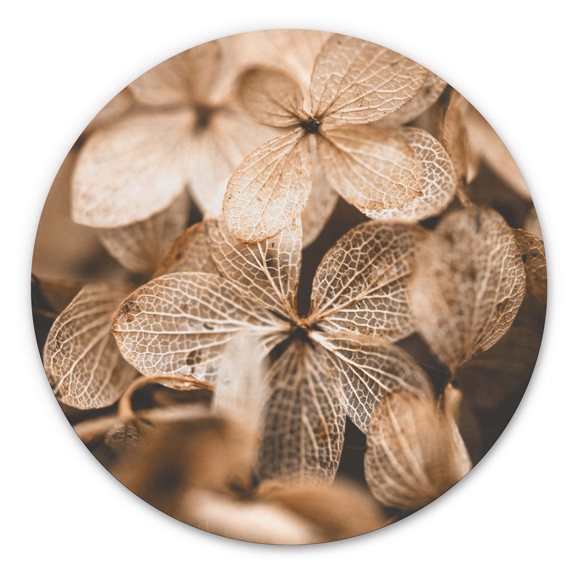 Tableau sur alu-Dibond Annie - Fleurs délicates - Rond