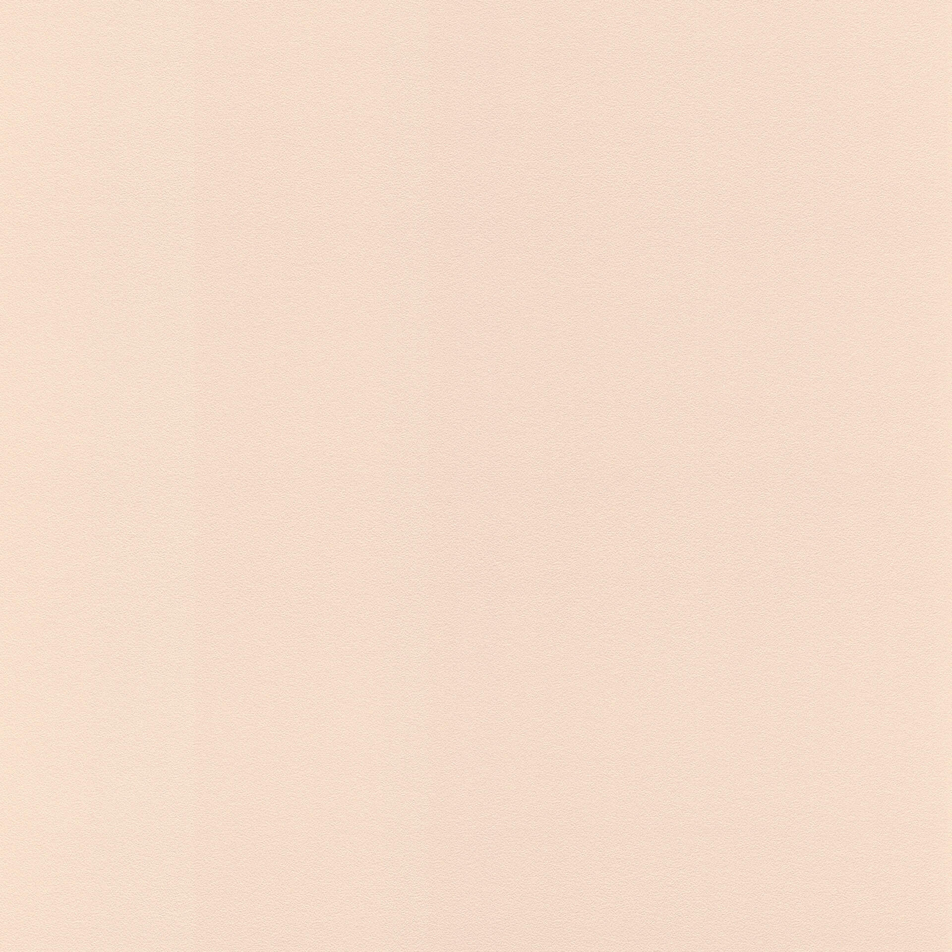 Rasch Vliesbehang Salsa roze