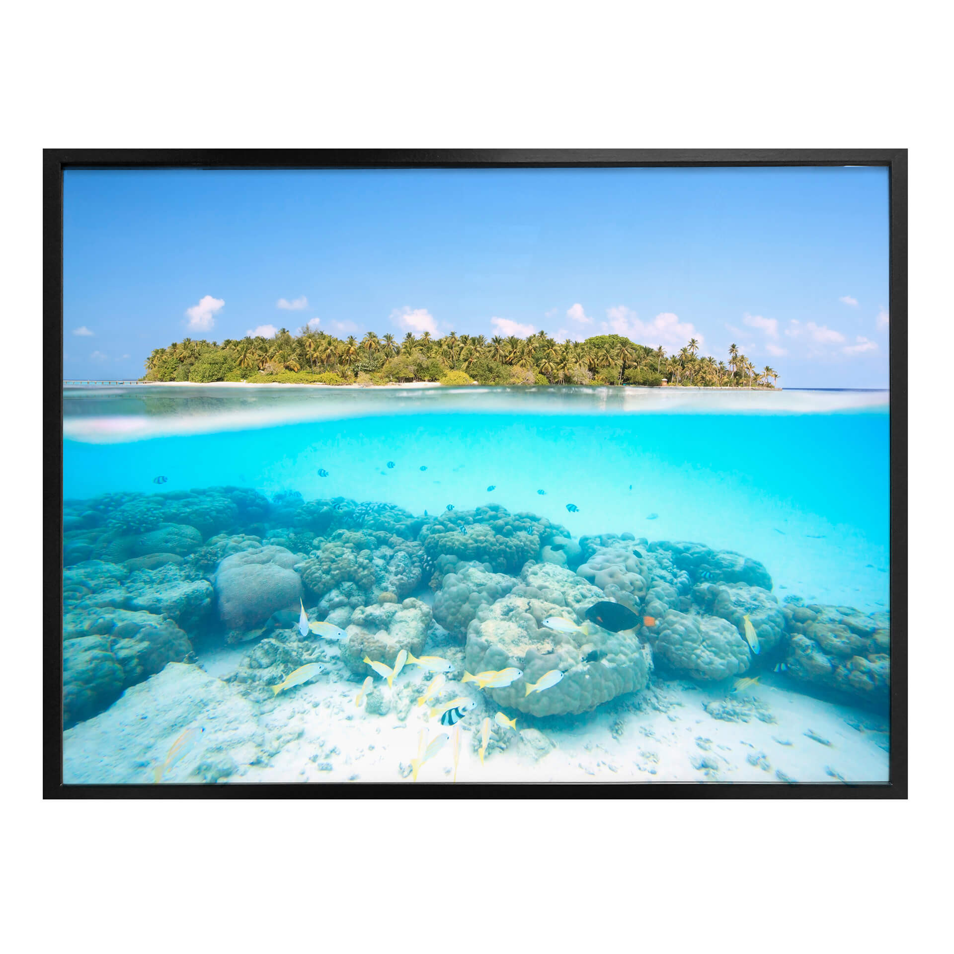 Affiche Colombo - Le monde sous-marin aux Maldives.