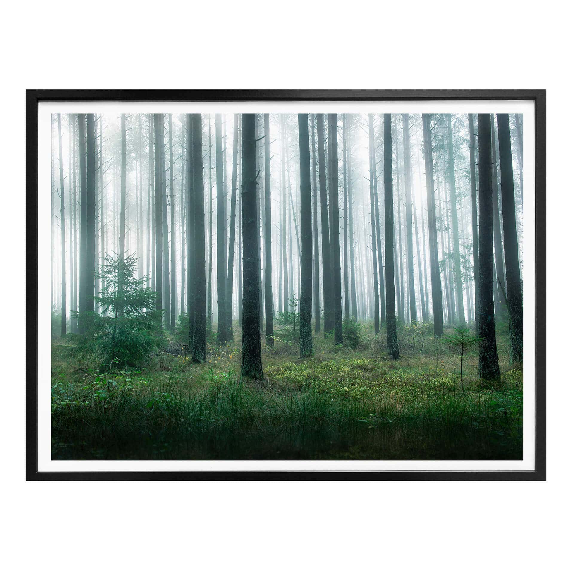 Plakat Lindsten - W lesie