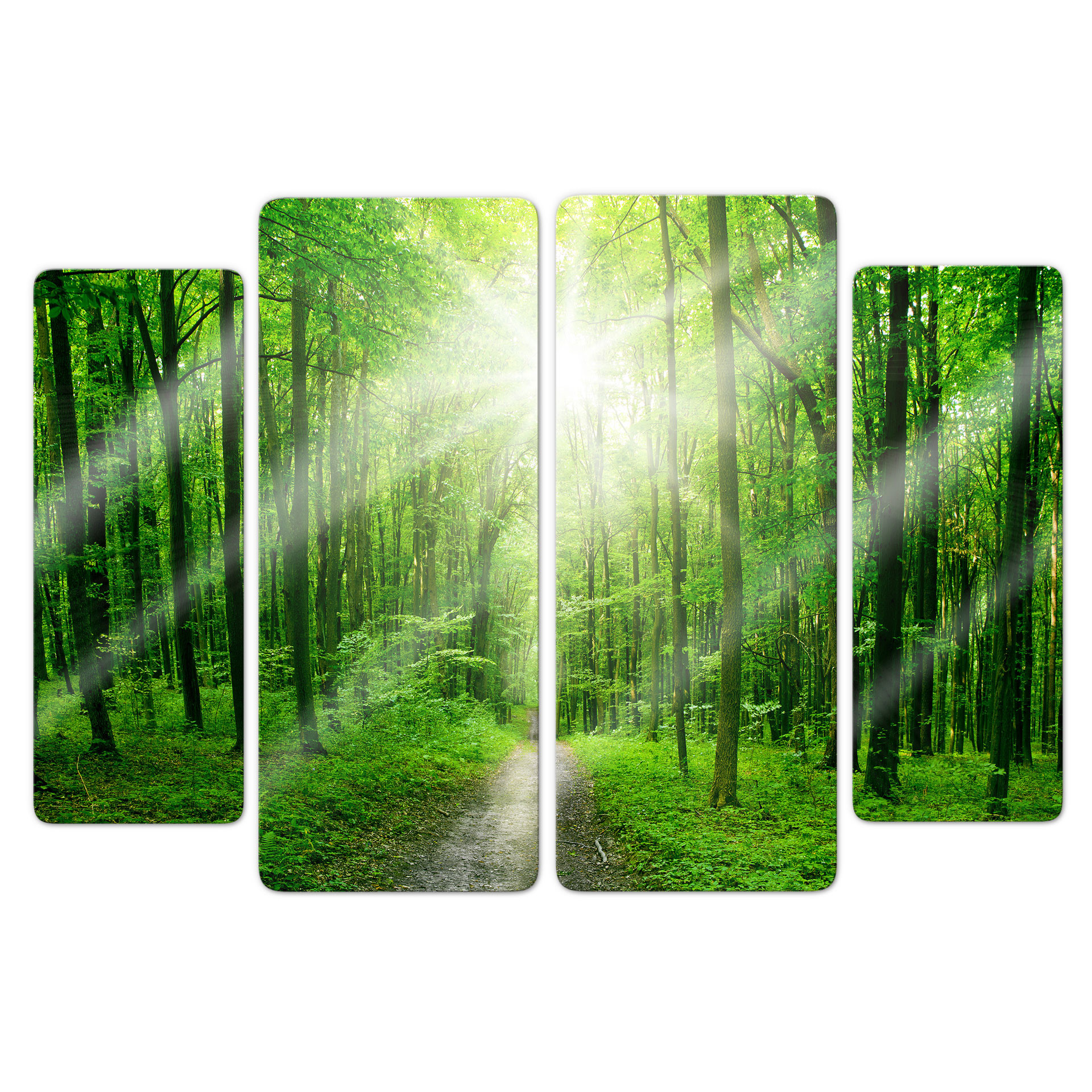 Glasbild Sunny Forest (4-teilig)