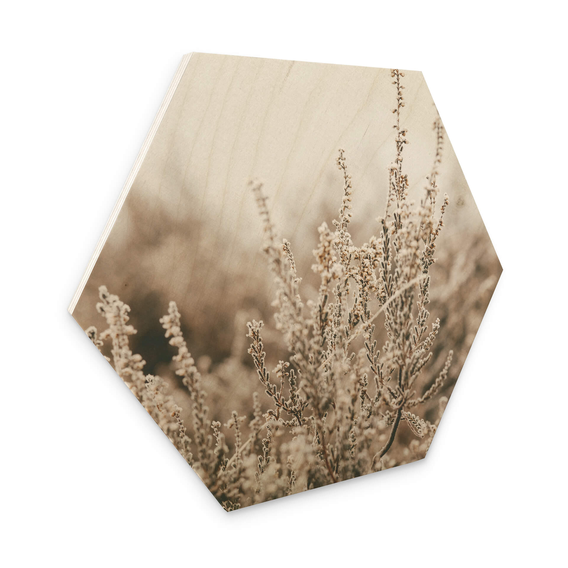 Esagoni in legno Annie - Erba