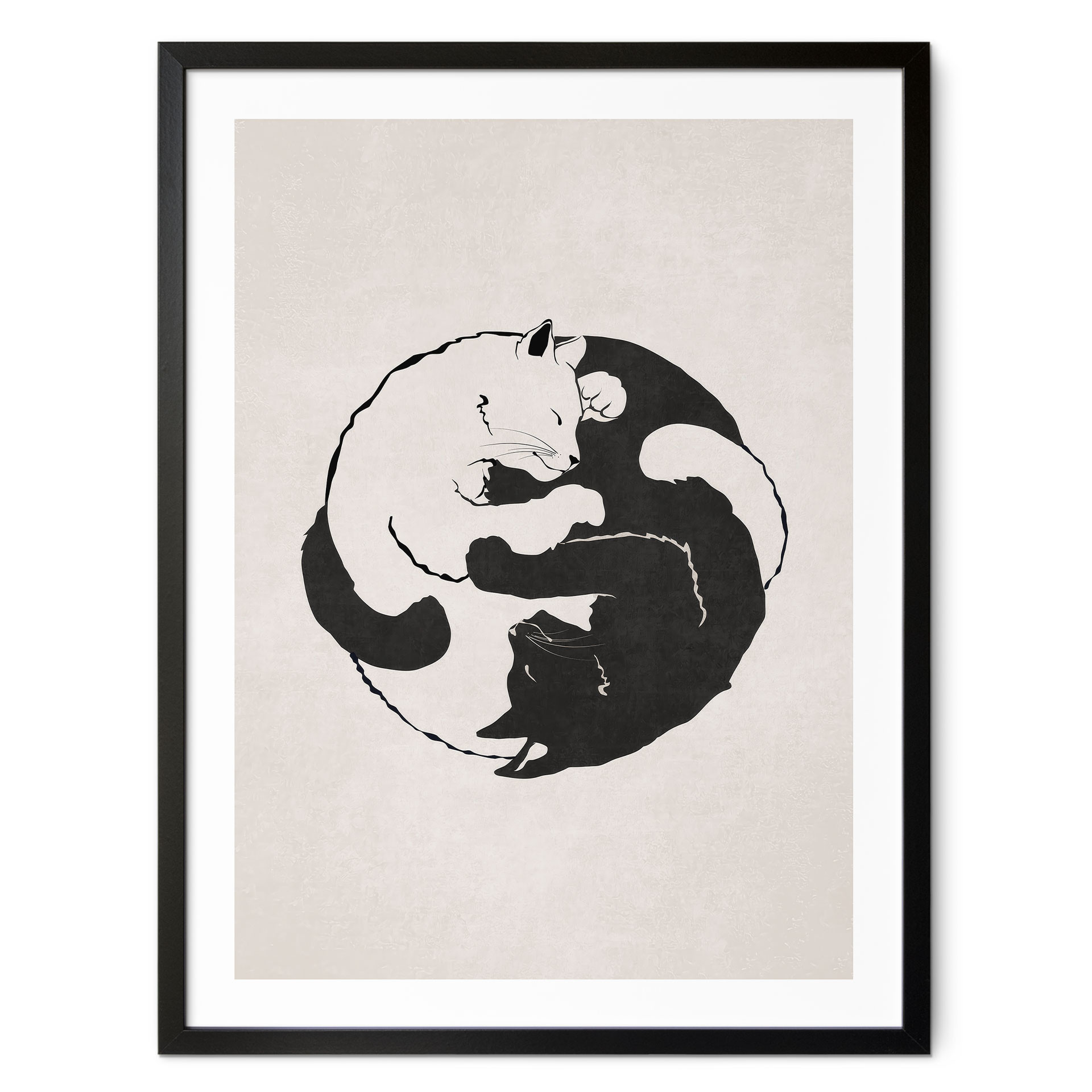 Plakat koty Ying & Yang - Tunaboylu
