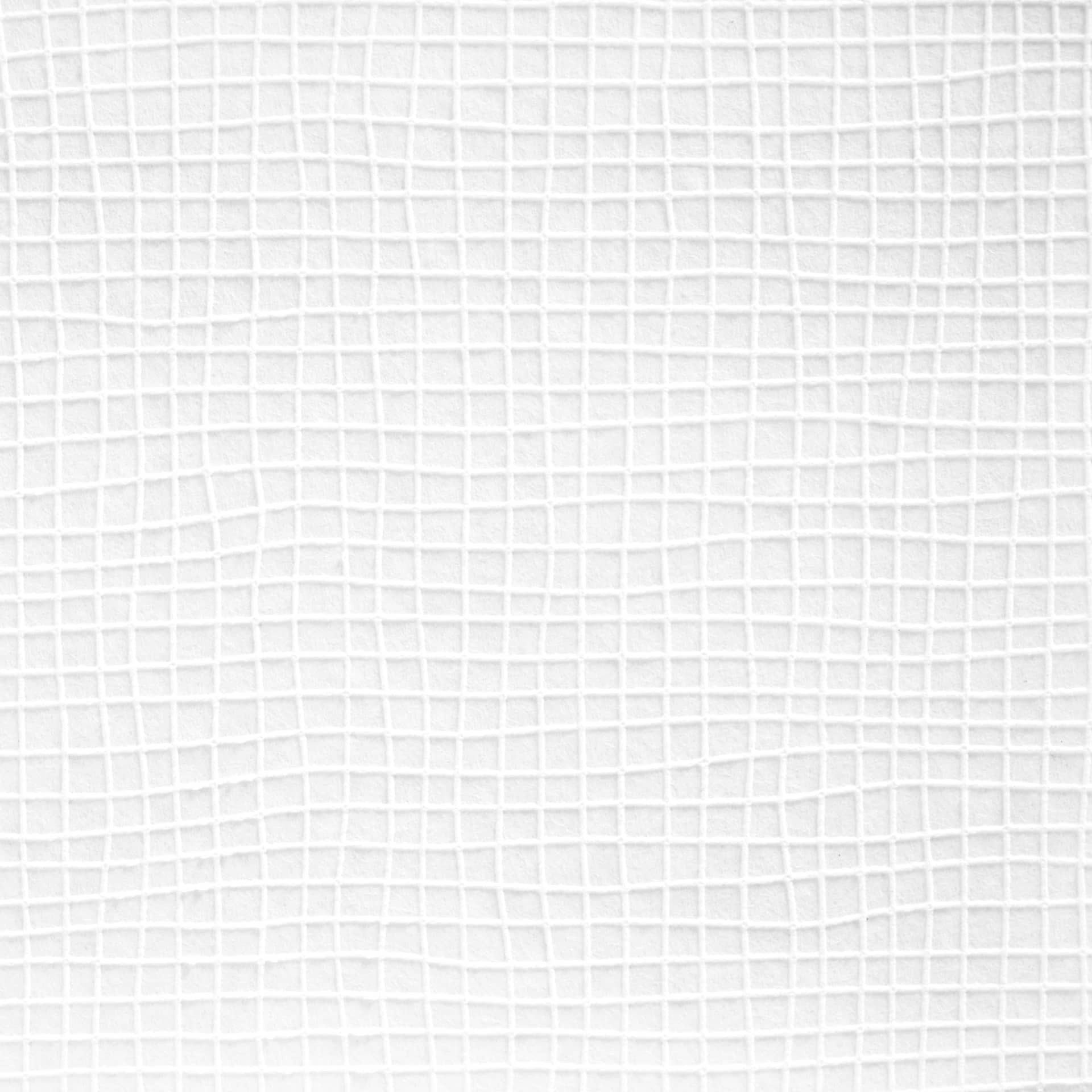 Architechts Paper Miljøvenligt Pigmenttapet som kan males på, Hvid