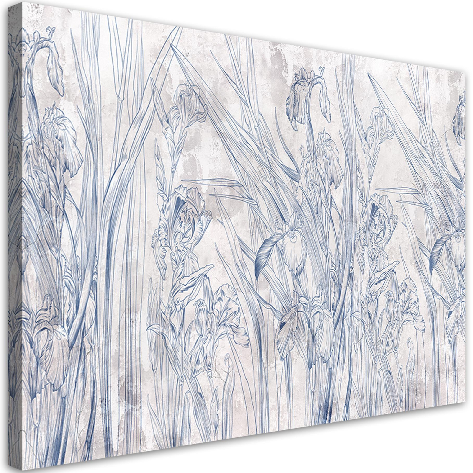 Canvasbillede, Iris blomst kontur blå