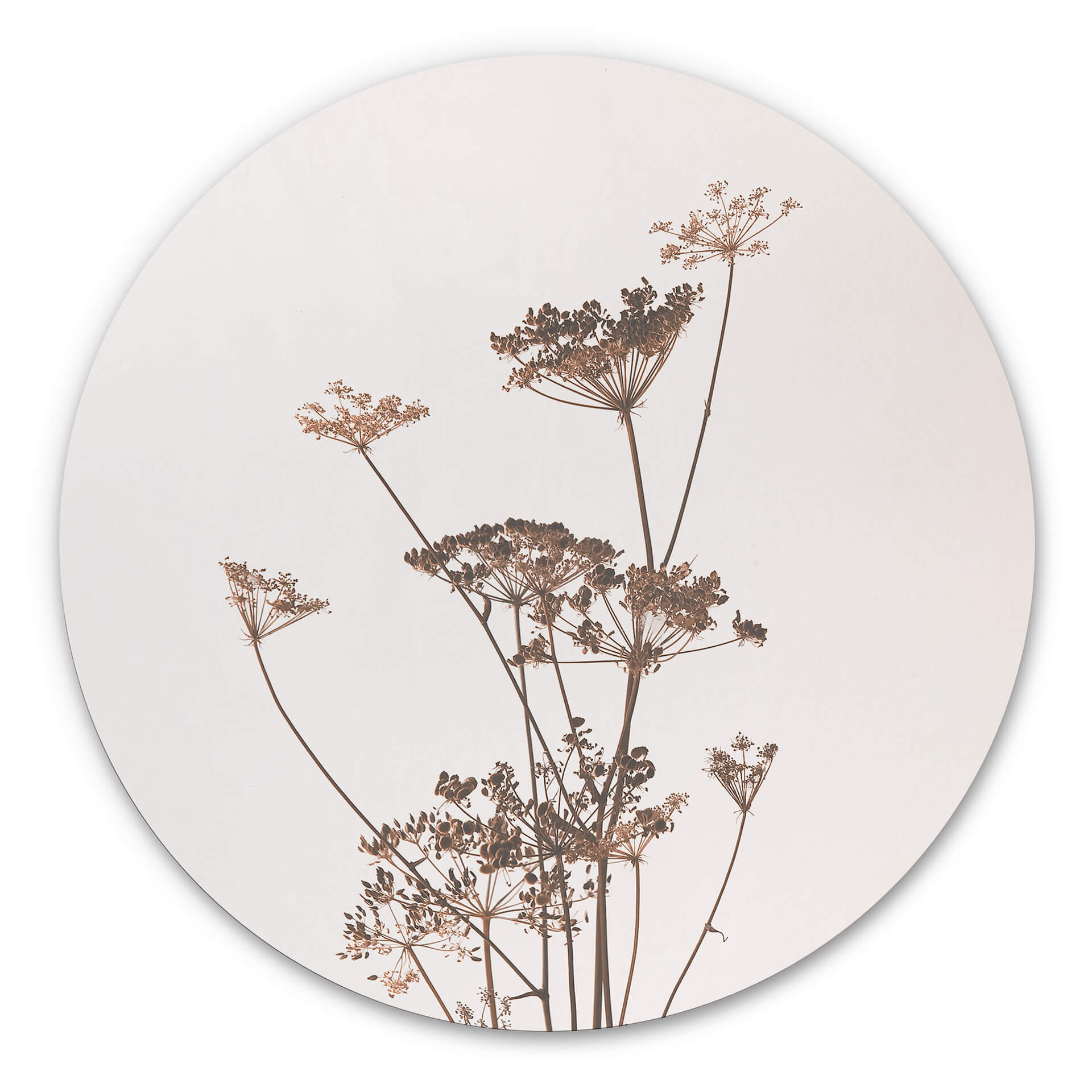 Tableau en alu-Dibond Herbes sauvages - Rond