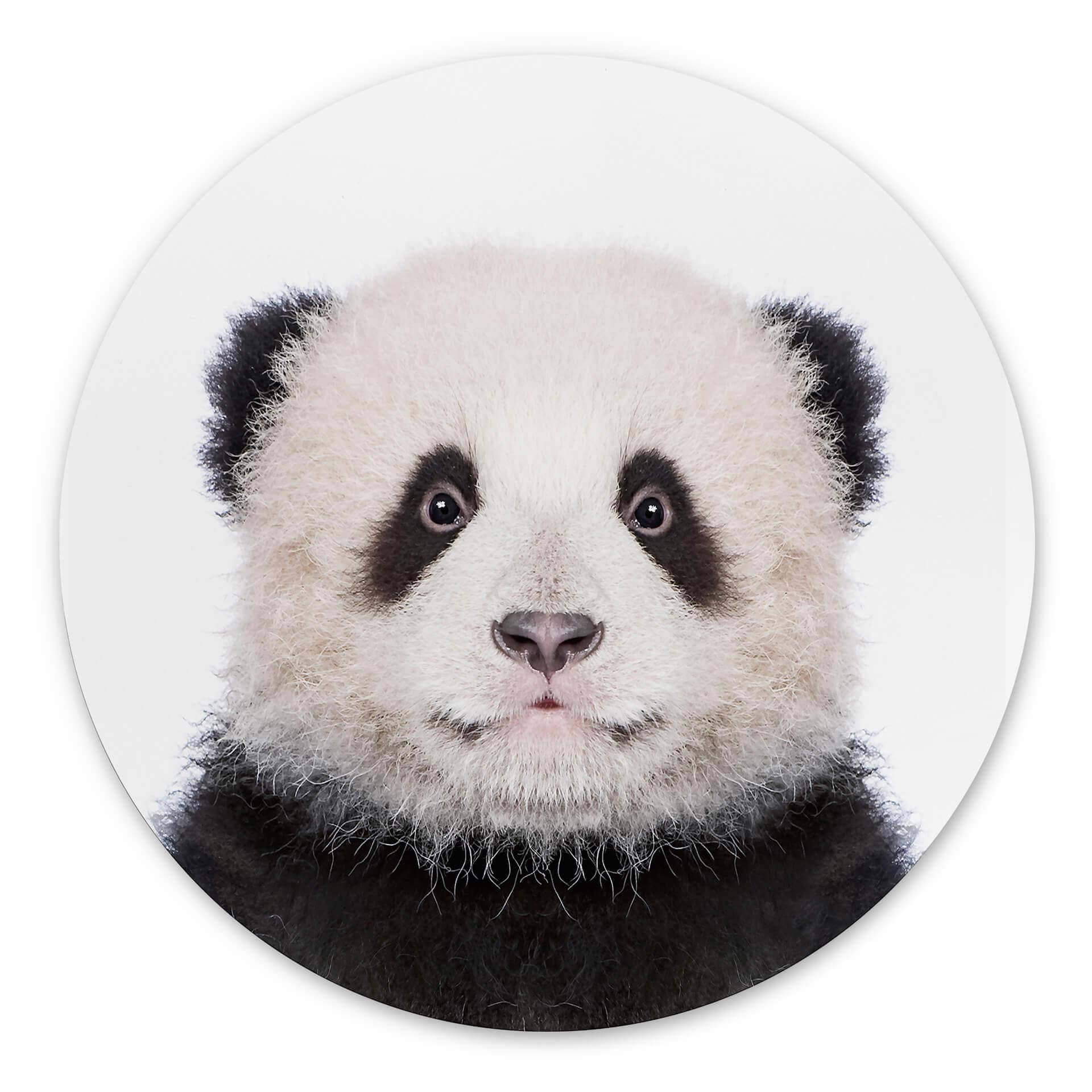 Tableau sur alu-Dibond rond Sisi & Seb - Baby Panda