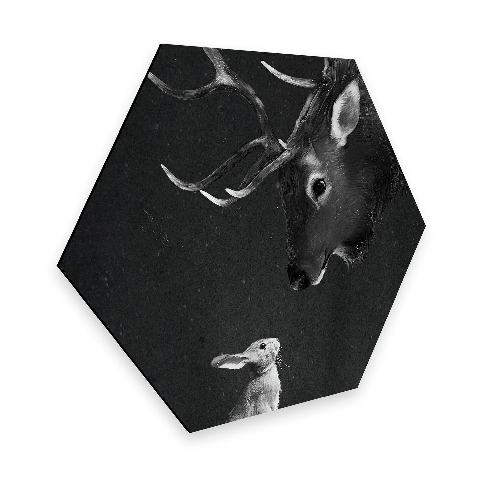 Esagoni Alu-dibond Graves - Incontri