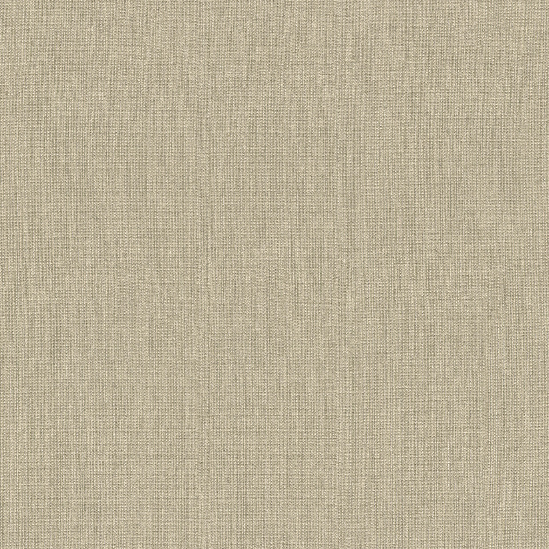 Rasch Mandalay Vliestapete Beige